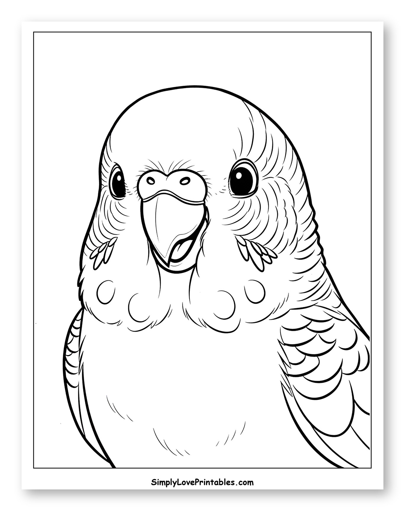 Cute Budgie Bird Looking Forward Coloring Sheet for Toddlers