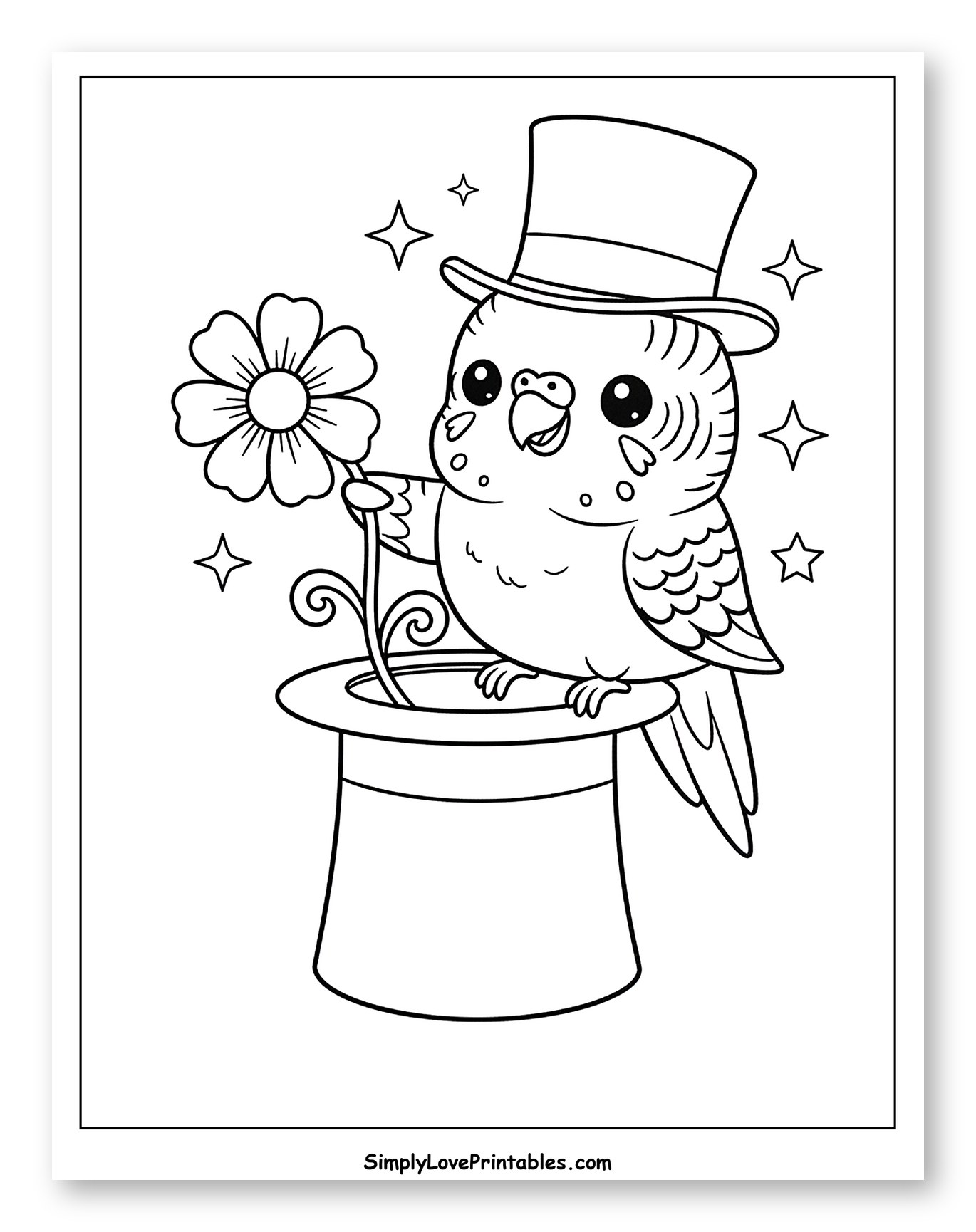 Cute Budgie Magician with Flower from Hat to Color for Kids