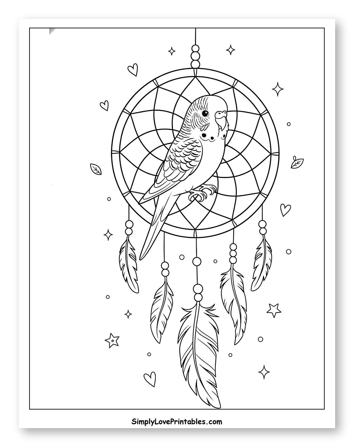 Cute Budgie Perched on a Dreamcatcher to Color for Adults