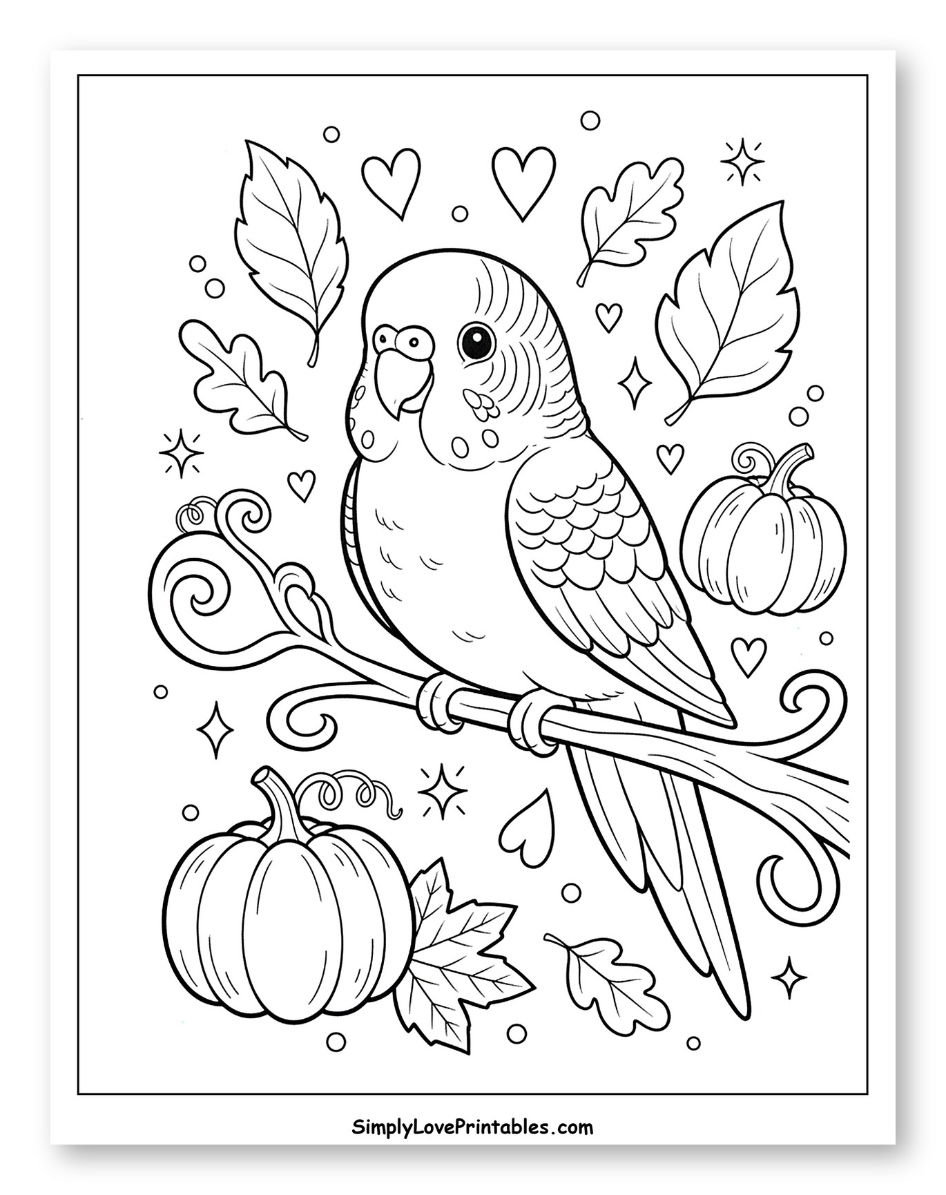Cute Budgie Perched on Branch with Pumpkins