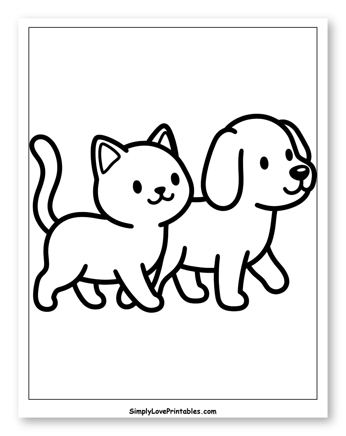 Cute Cat and Dog Walking Together