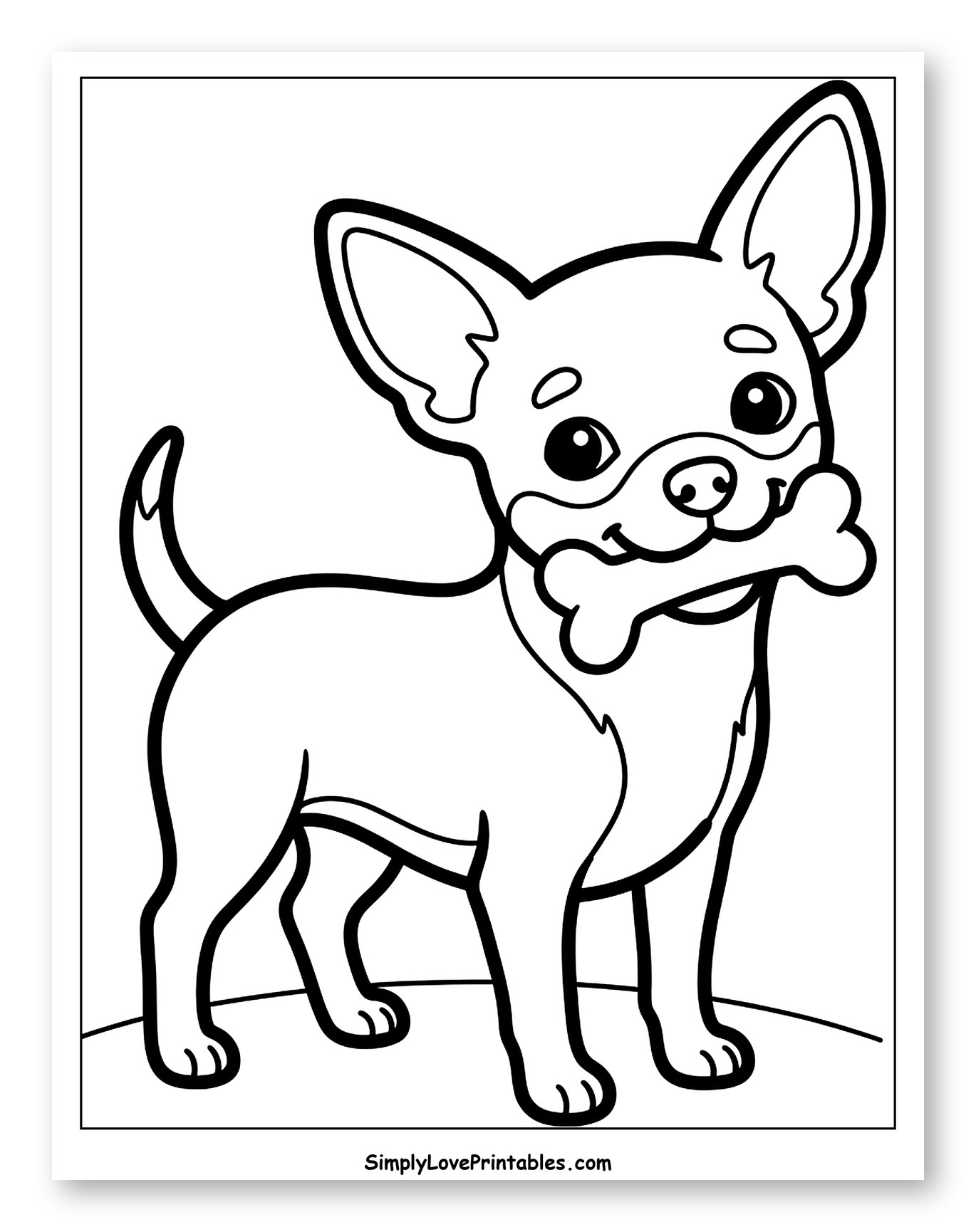 Cute Chihuahua Dog Holding a Bone