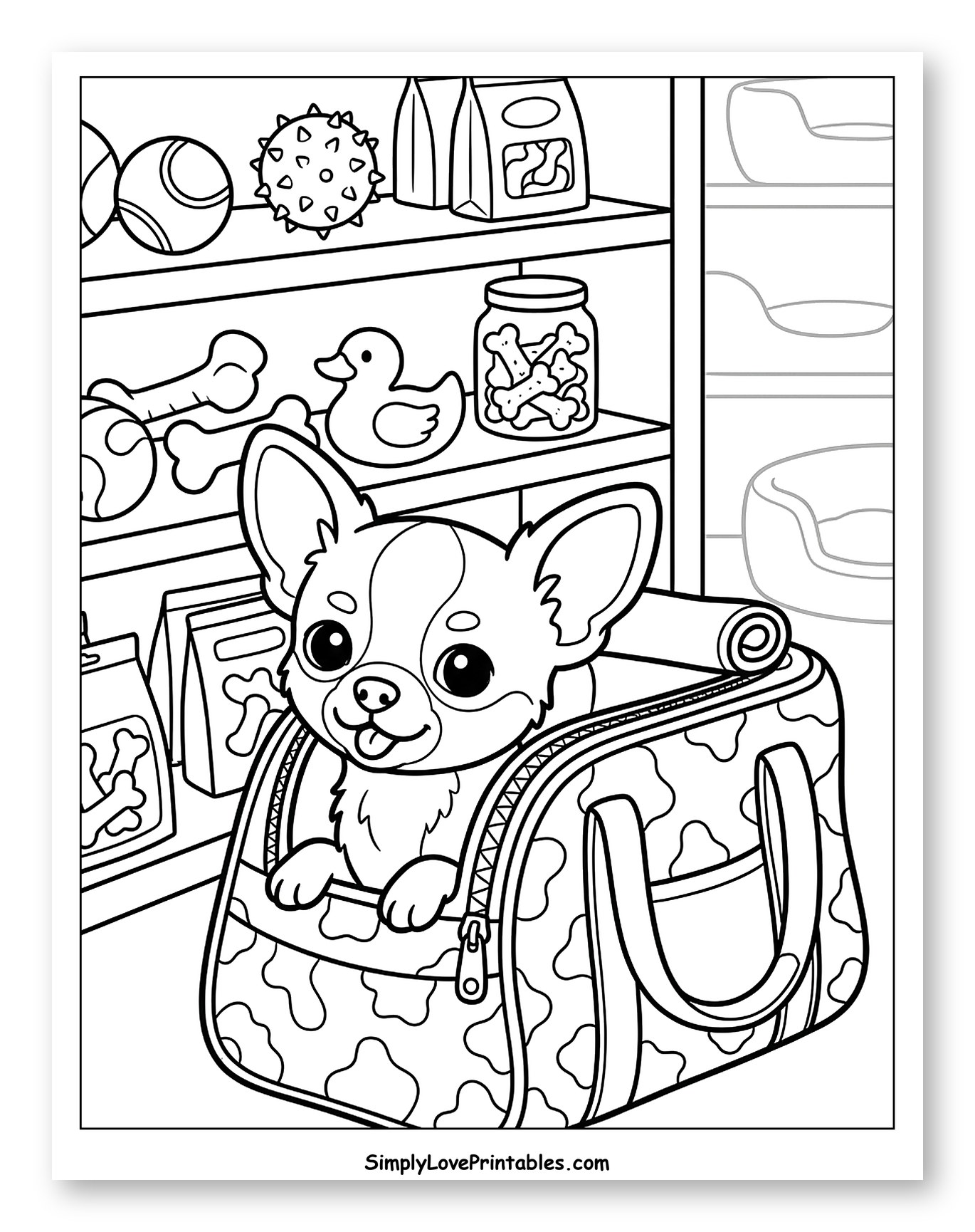Cute Chihuahua in Carrier with Pet Supplies