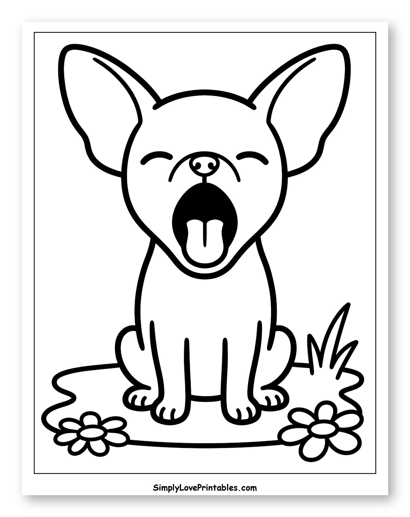 Cute Chihuahua Yawning on Grass