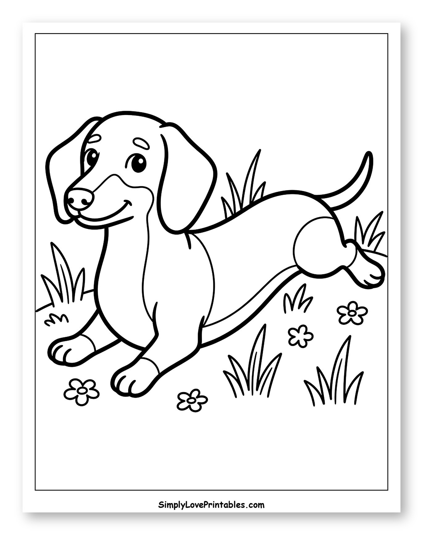 Cute Dachshund Lying in Grass