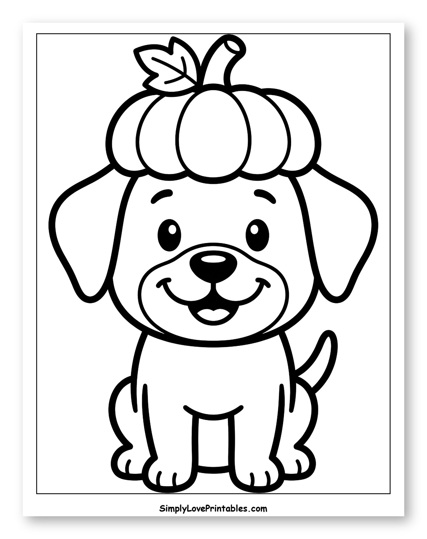 Cute Dog Wearing a Pumpkin Hat