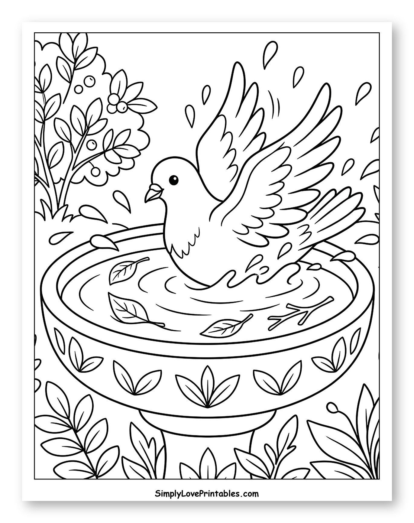 Cute Dove Splashing in a Birdbath