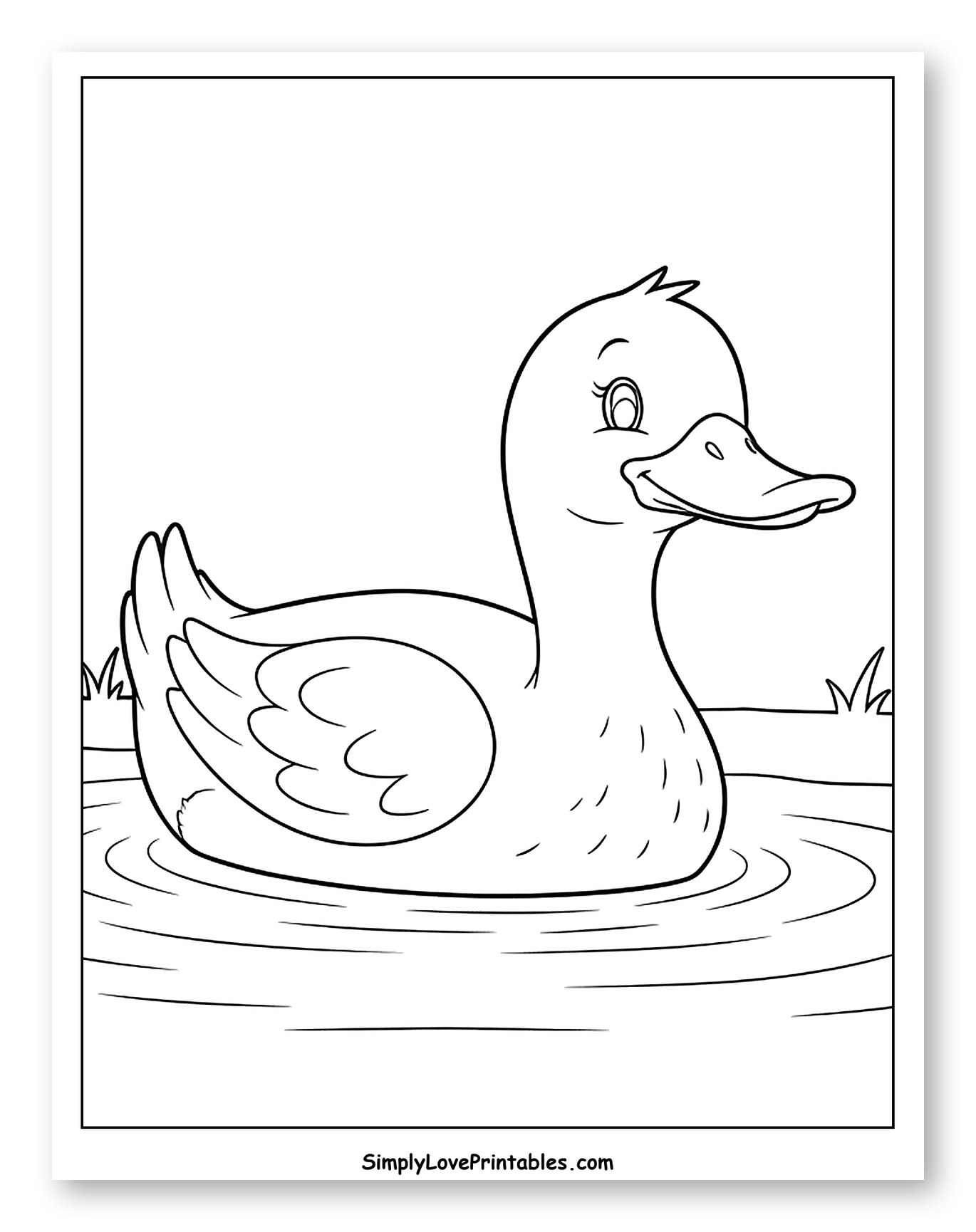 Cute Duck Swimming in Water