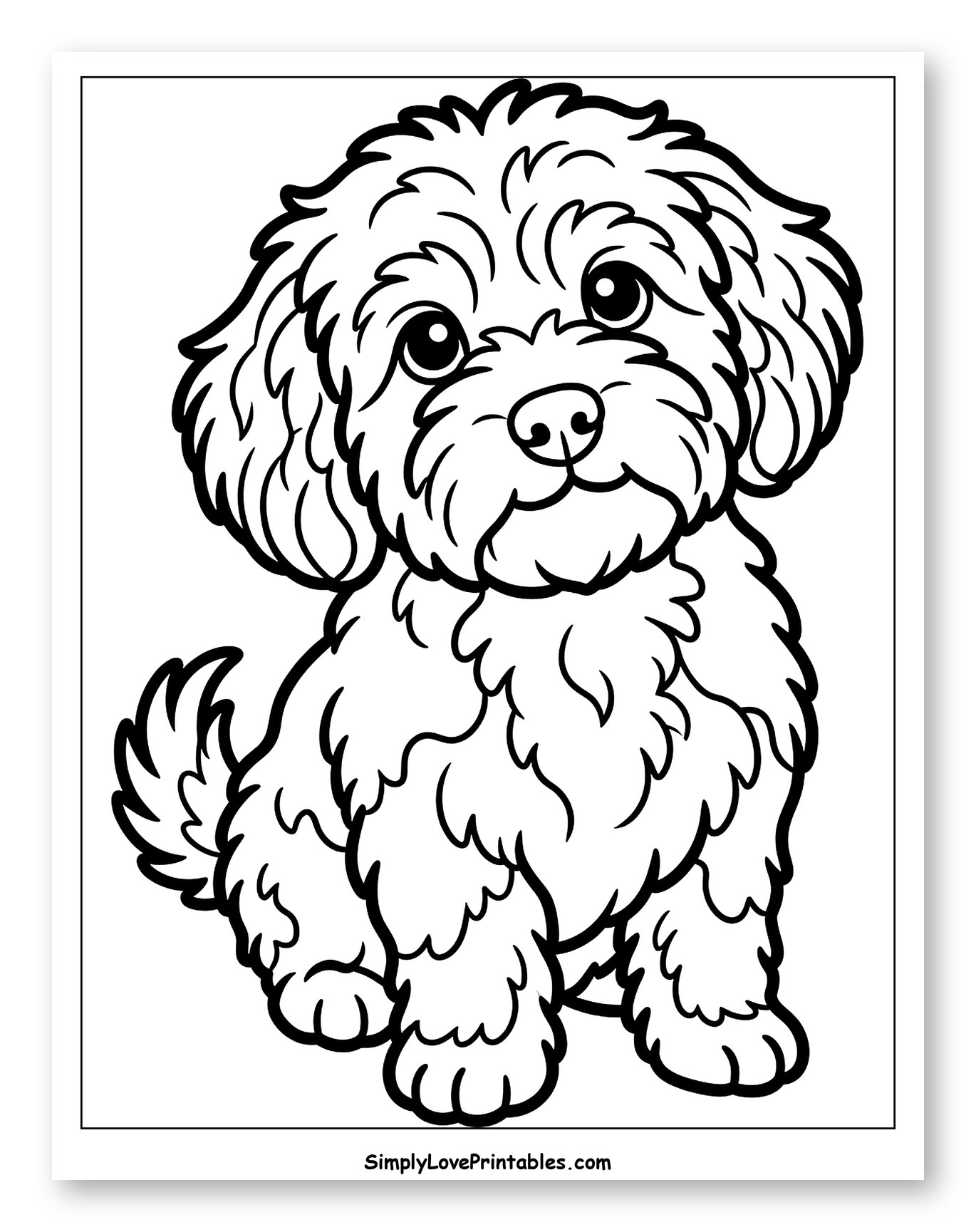Cute Fluffy Havanese Puppy Sitting