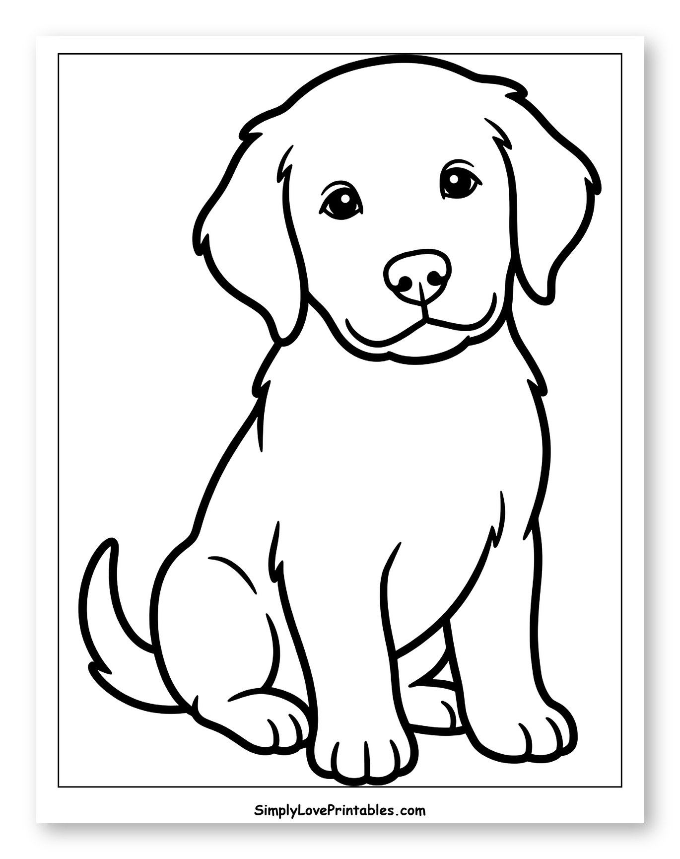 Cute Golden Retriever Puppy Sitting