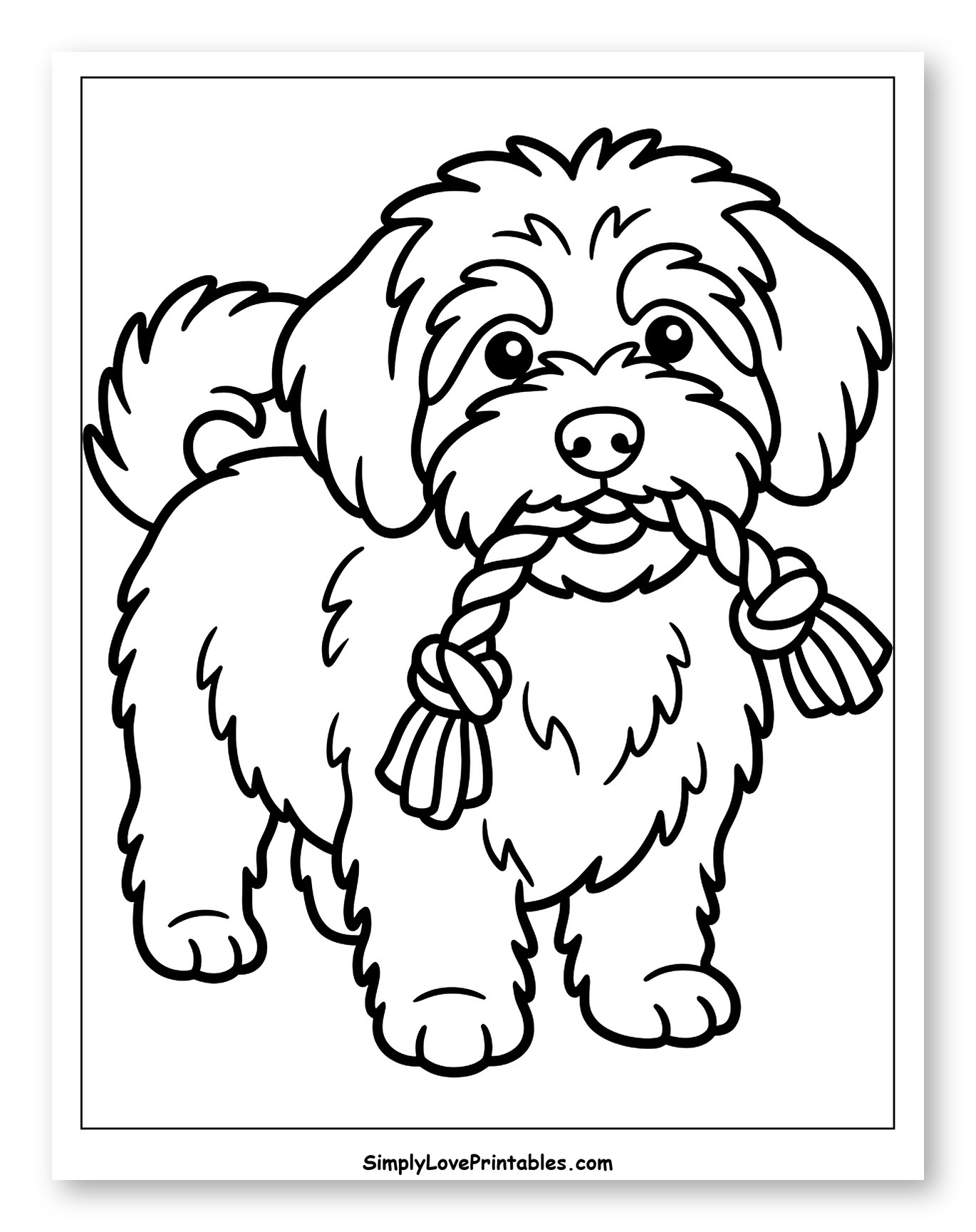 Cute Havanese Dog with Rope Toy to Color for Toddlers