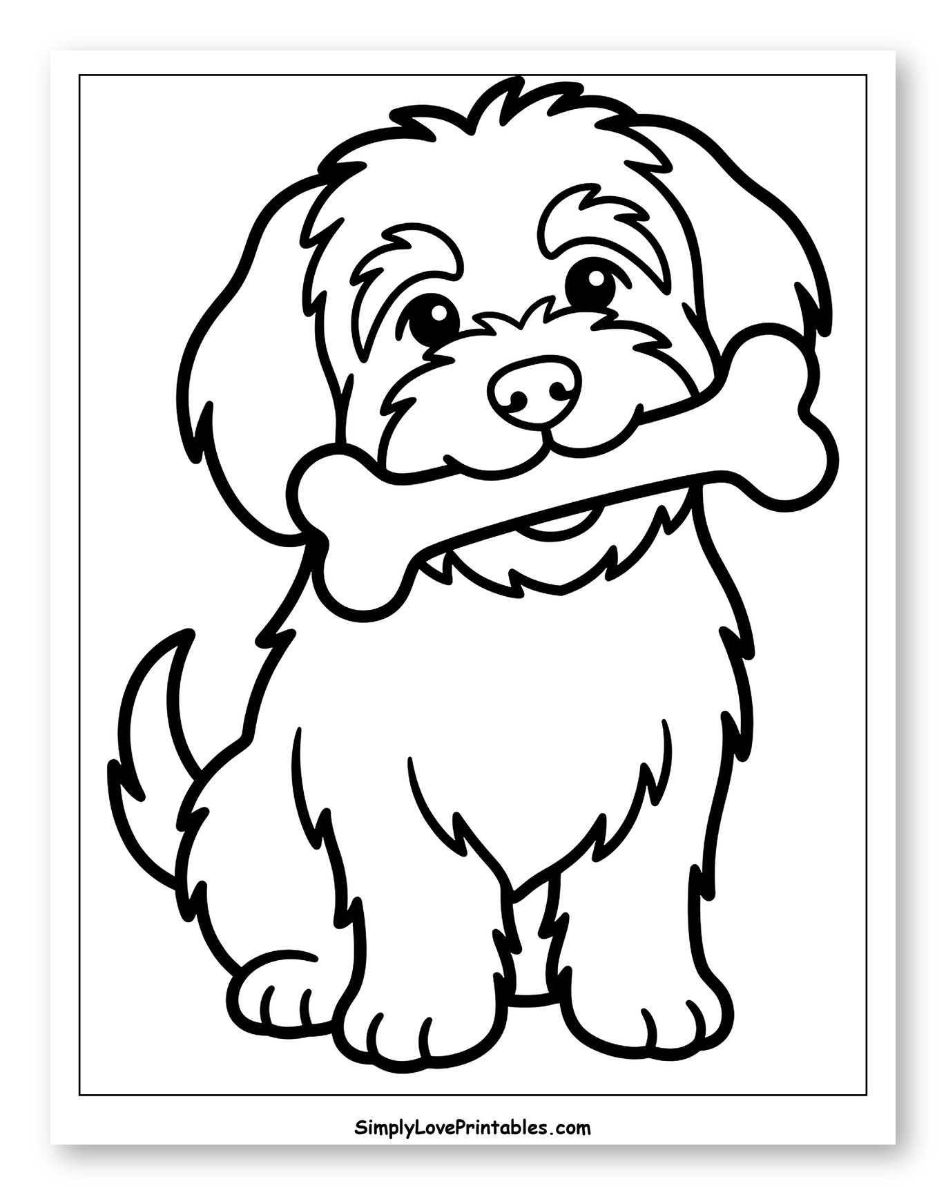 Cute Havanese Puppy Sitting with a Bone