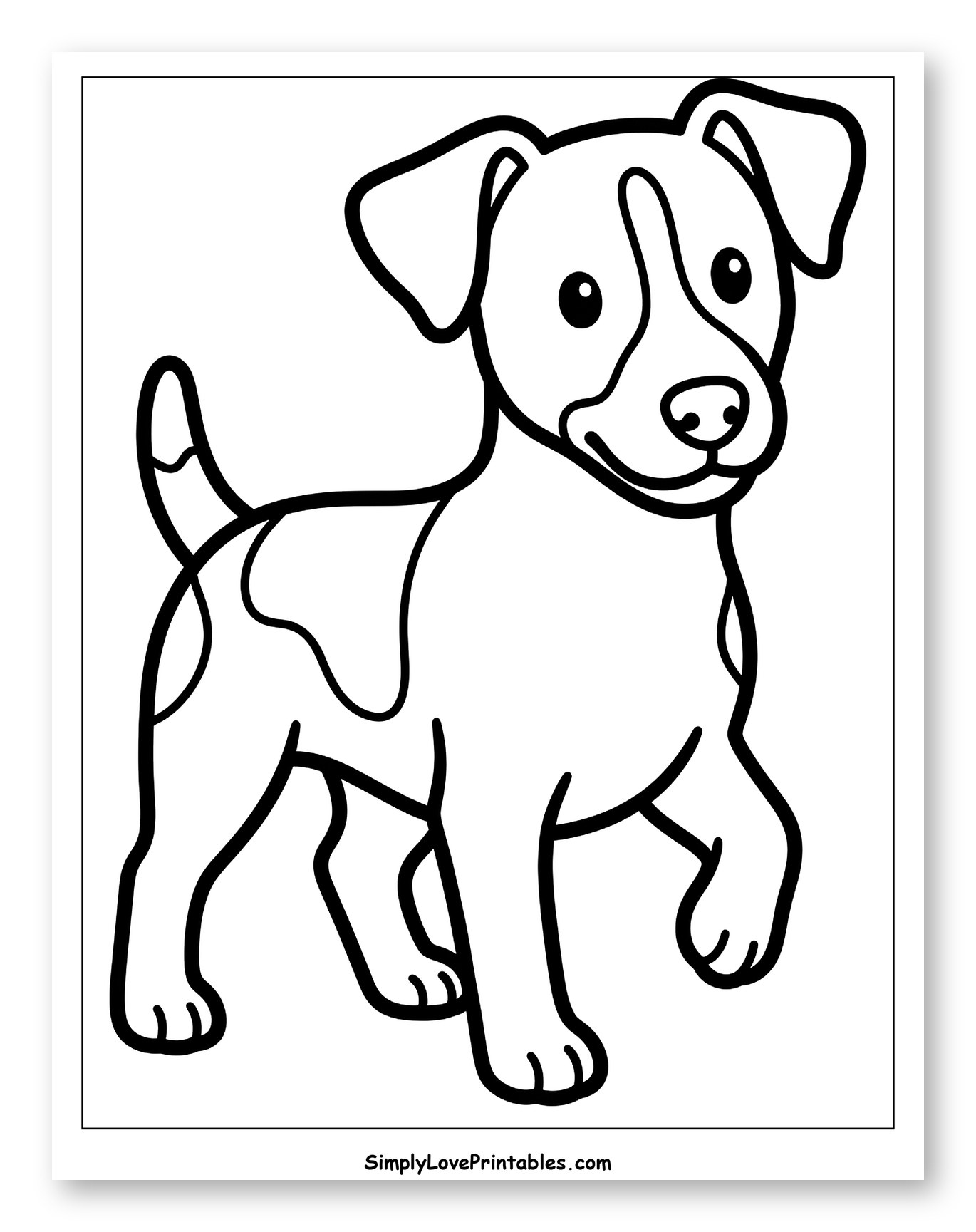 Cute Jack Russell Puppy Standing