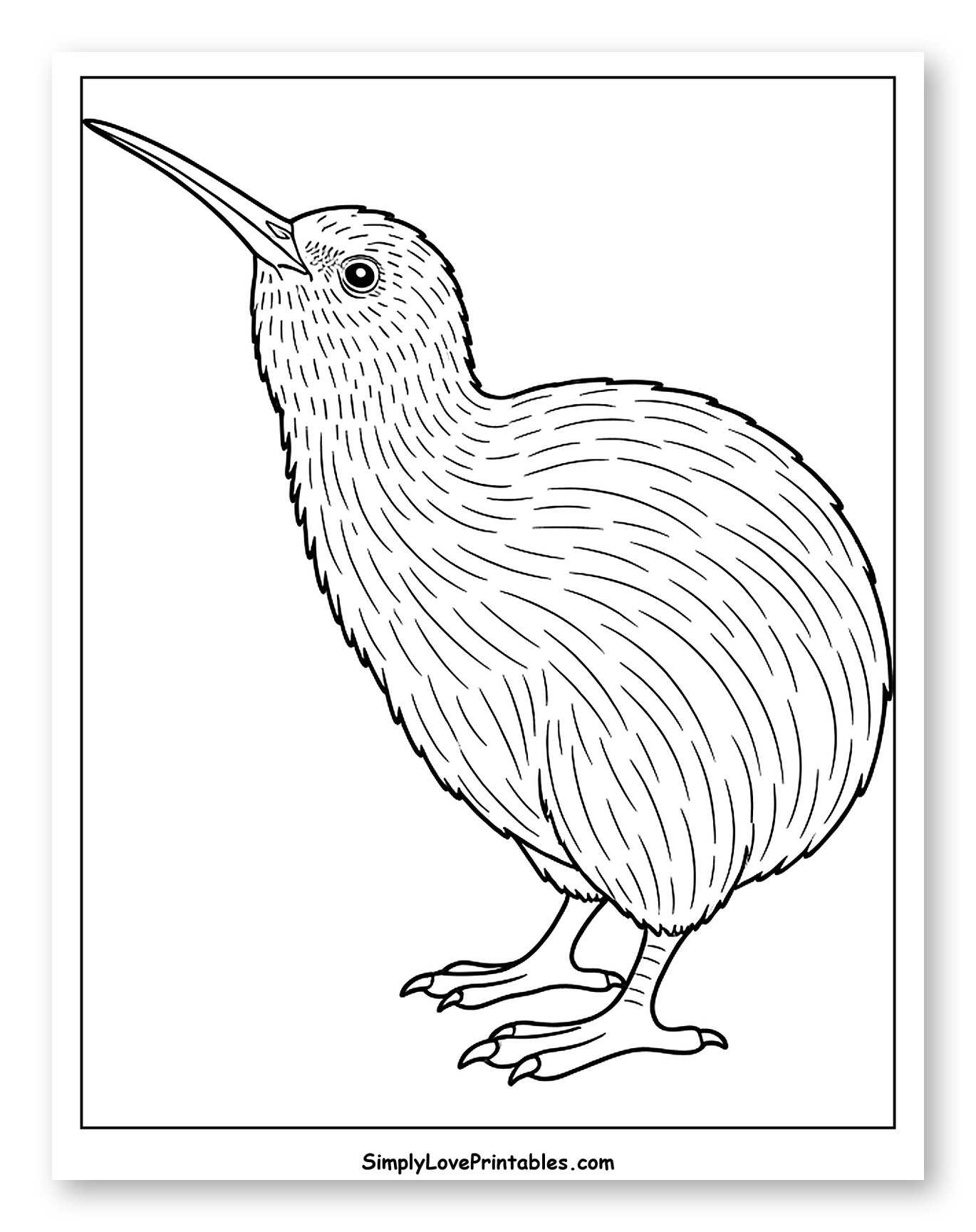 Cute Kiwi Bird Looking Up Coloring Page for Toddlers