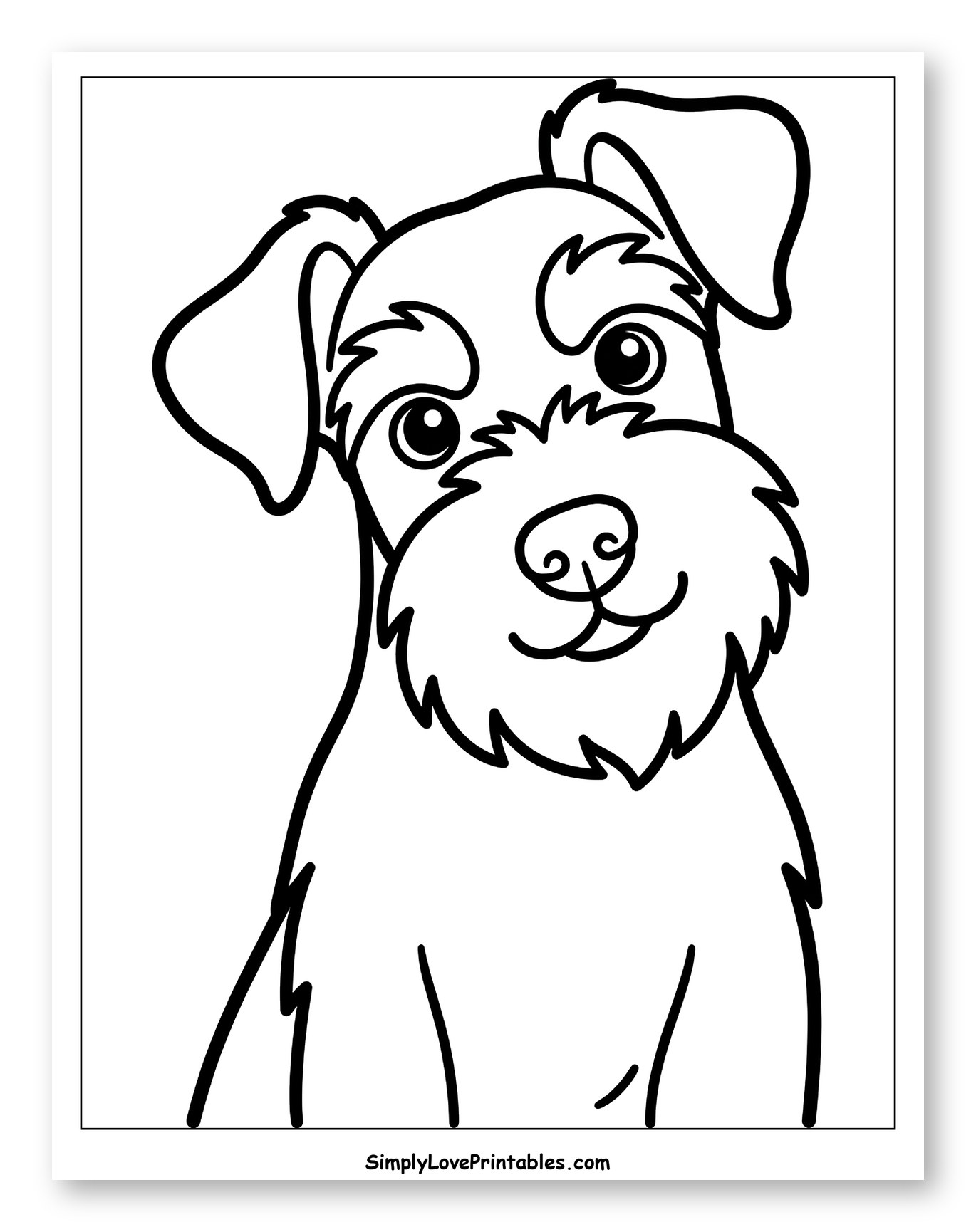 Cute Miniature Schnauzer Dog Portrait