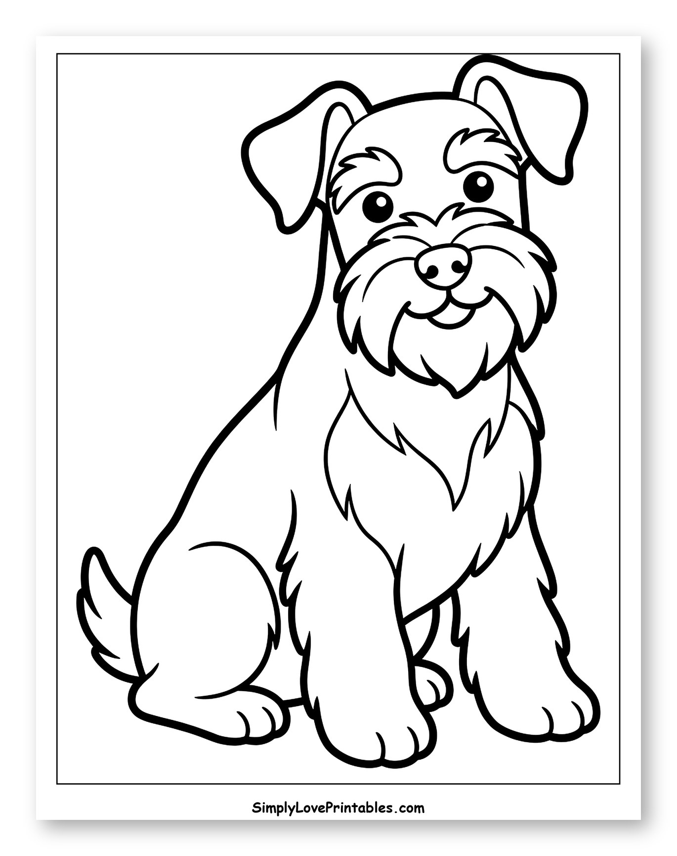 Cute Miniature Schnauzer Puppy Sitting