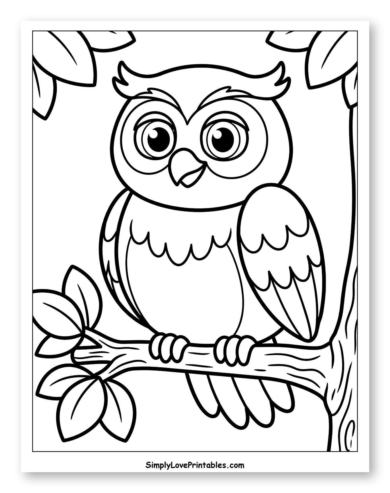 Cute Owl Perched on a Tree Branch