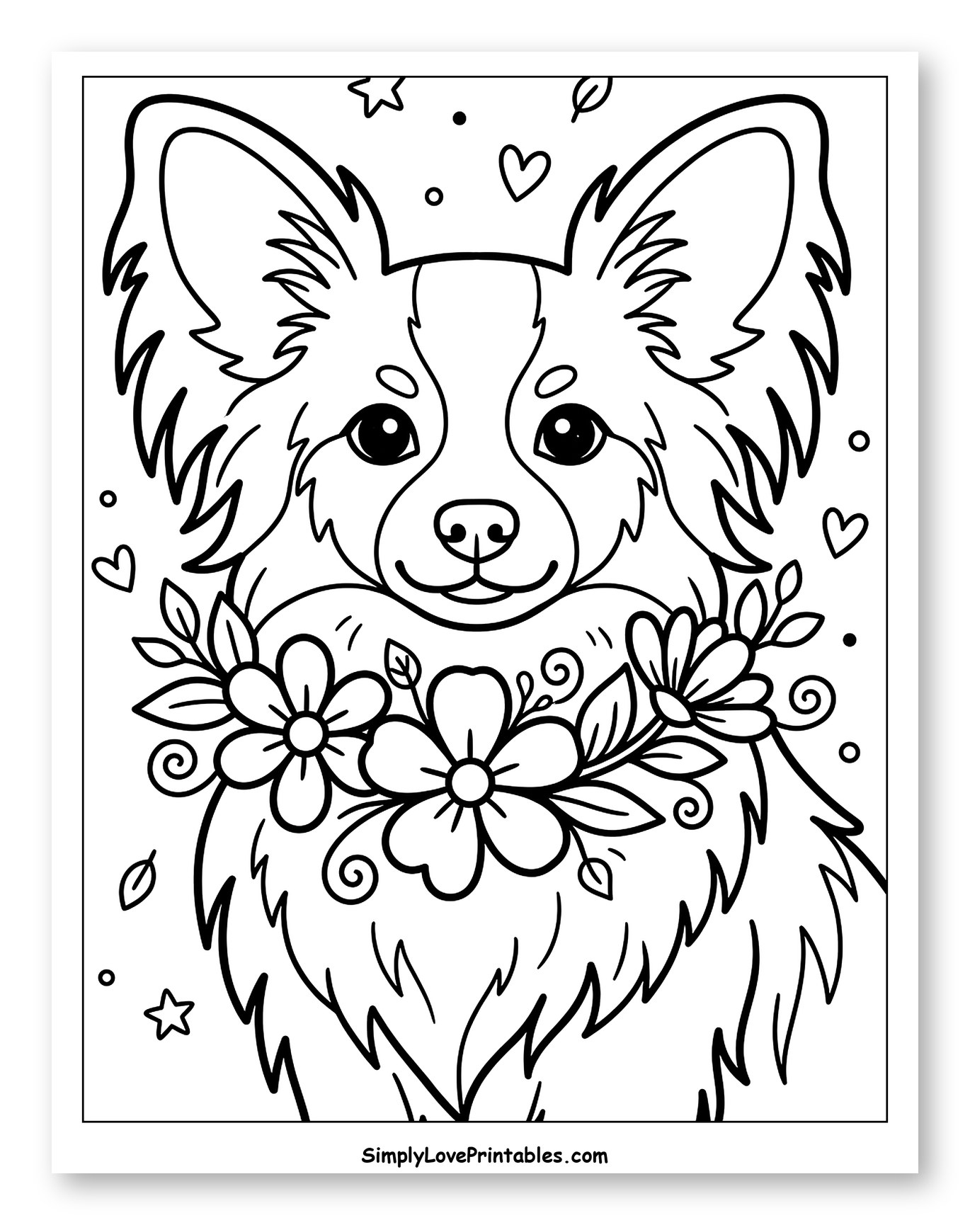 Cute Papillon Dog with Floral Collar