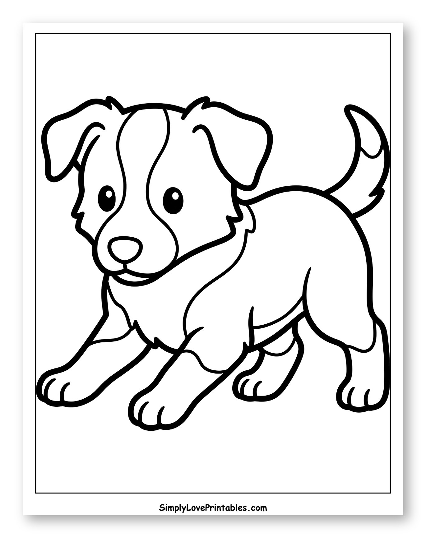 Cute Playful Puppy Looking Forward
