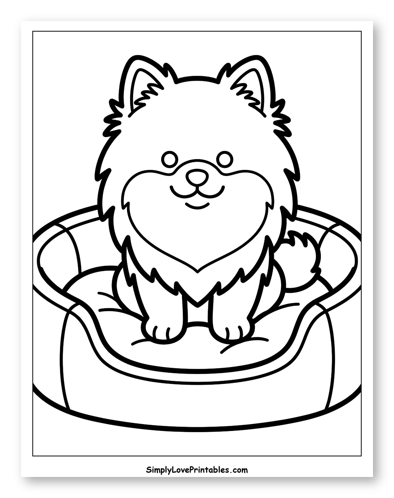 Cute Pomeranian Puppy in a Dog Bed