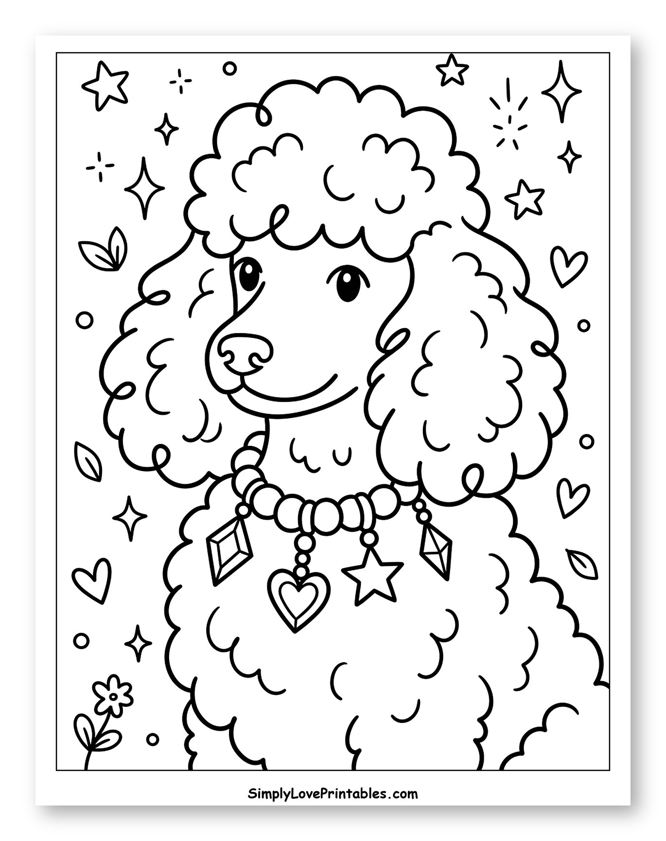 Cute Poodle with Jewel Collar