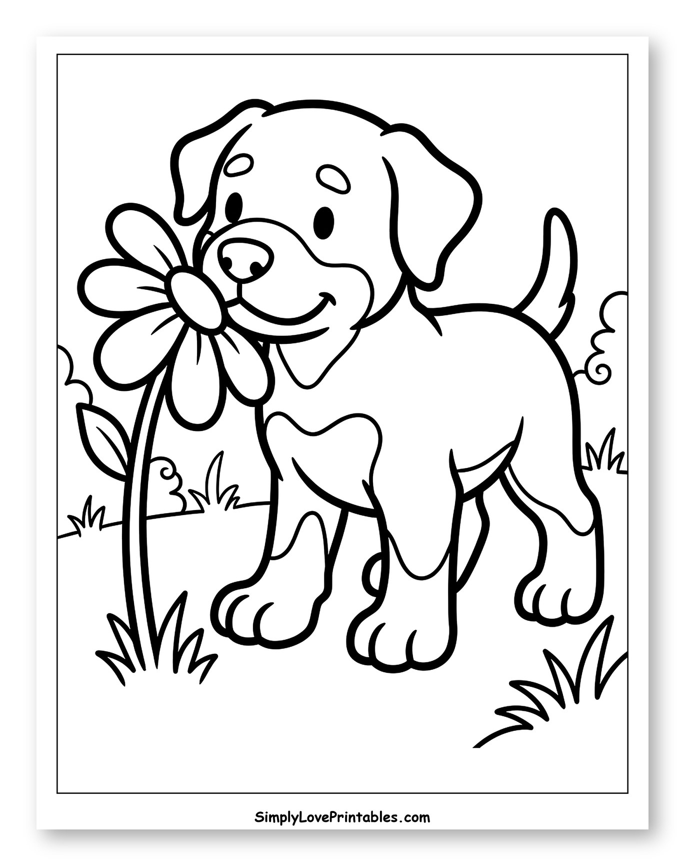 Cute Puppy Sniffing a Daisy in Grass