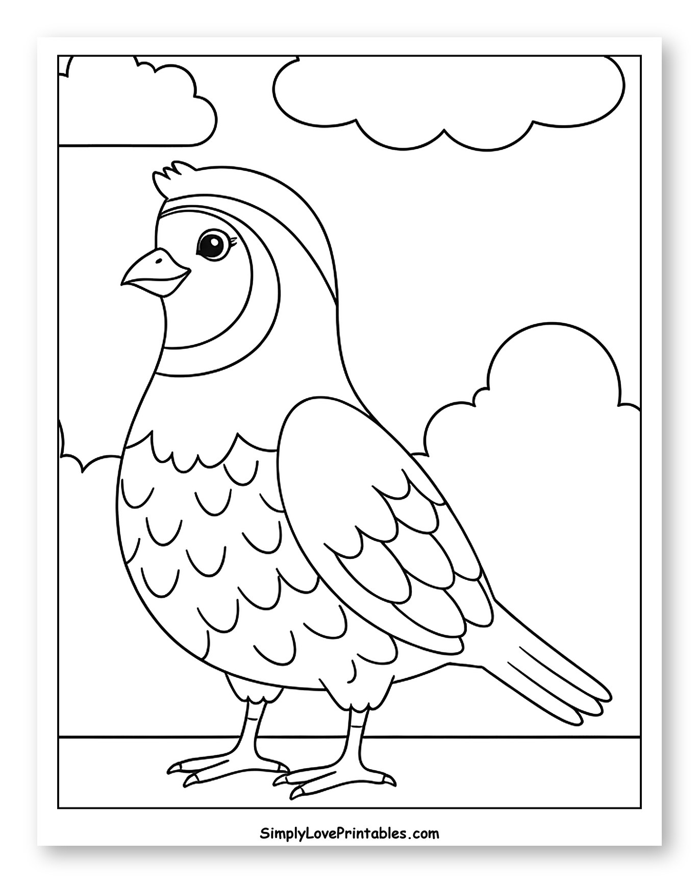Cute Quail Bird Standing with Clouds