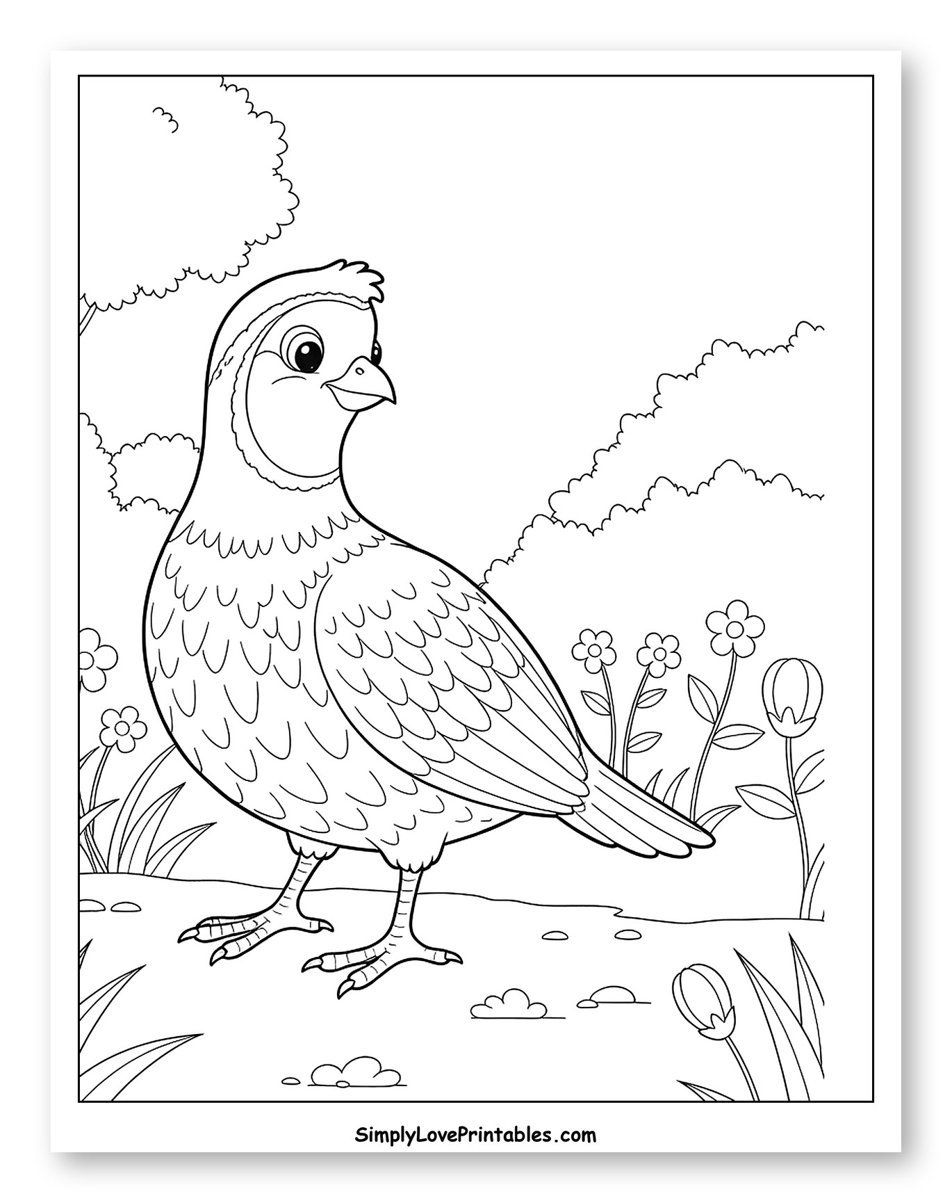 Cute Quail Standing in a Grassy Field to Color for Kids