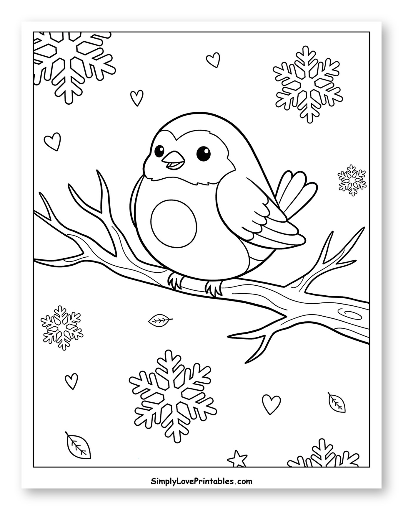 Cute Robin Bird on a Branch