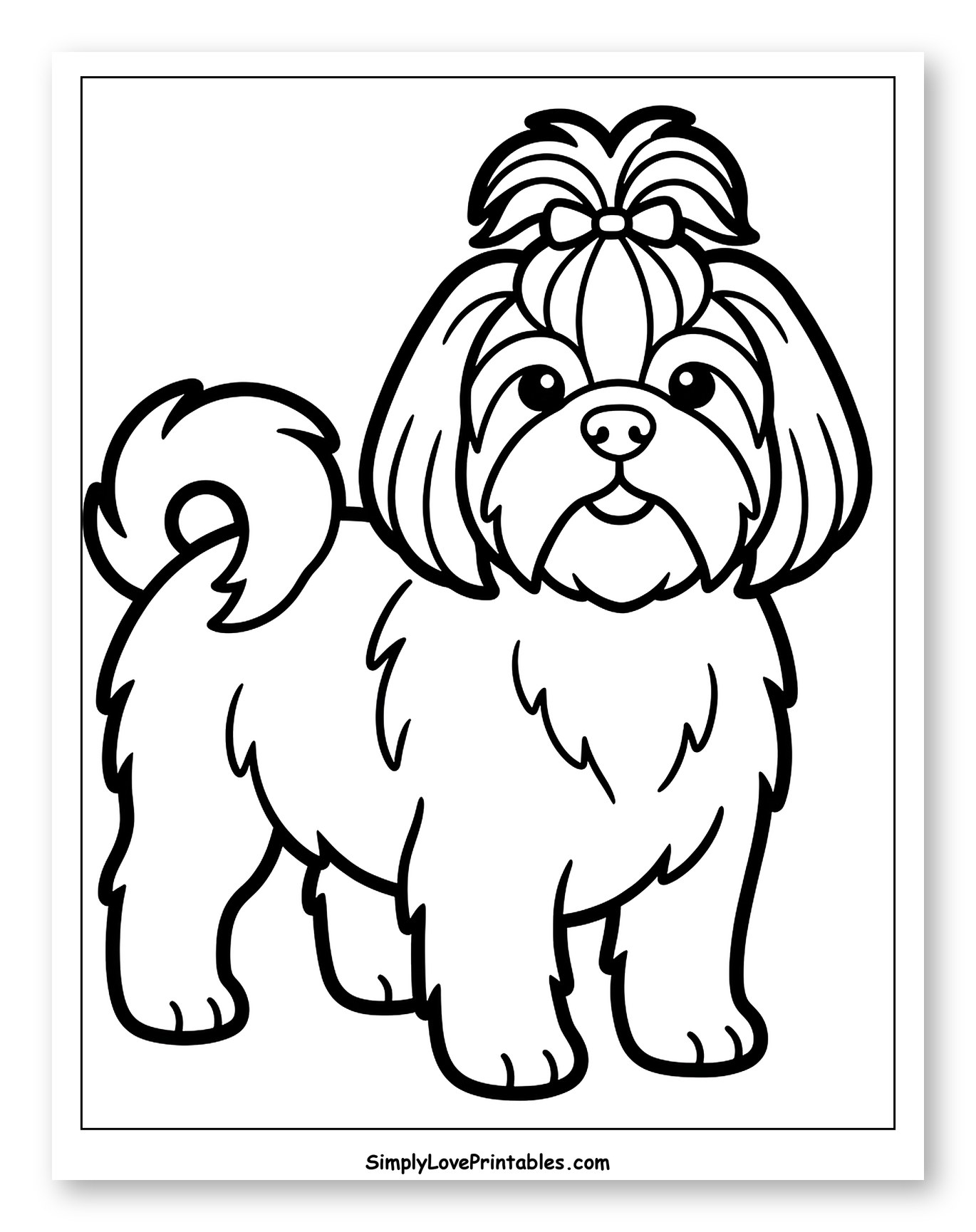 Cute Shih Tzu Puppy with a Bow