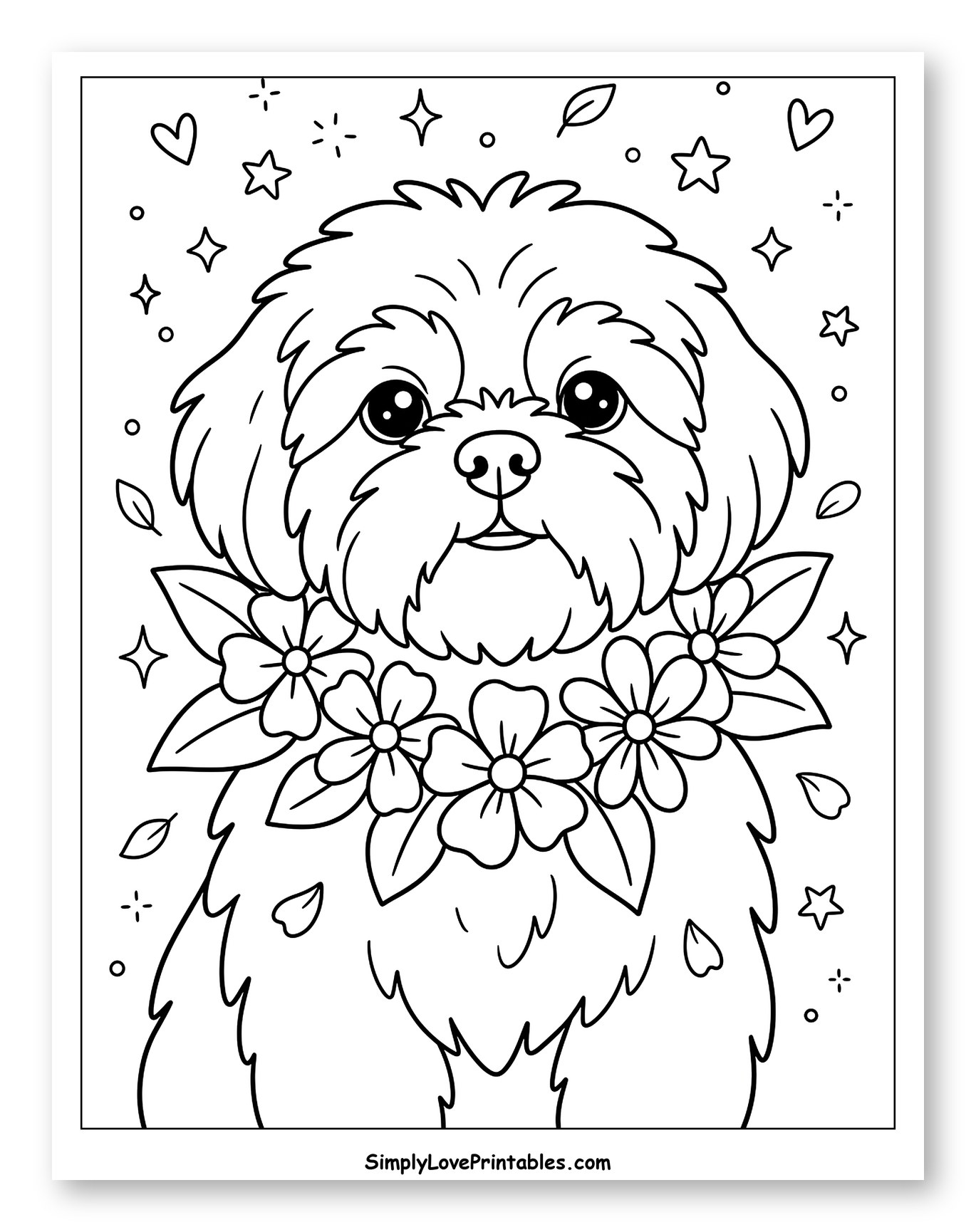 Cute Shih Tzu Puppy with Flower Collar