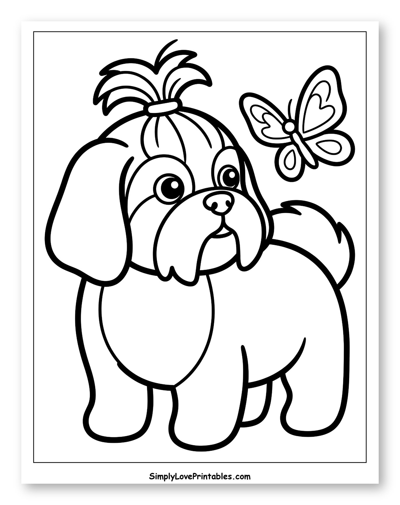 Cute Shih Tzu Puppy with Topknot and Butterfly