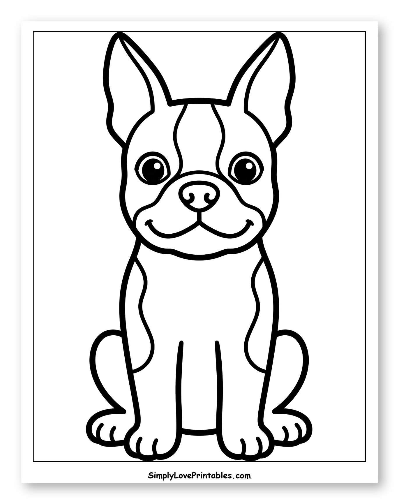 Cute Sitting Boston Terrier Puppy