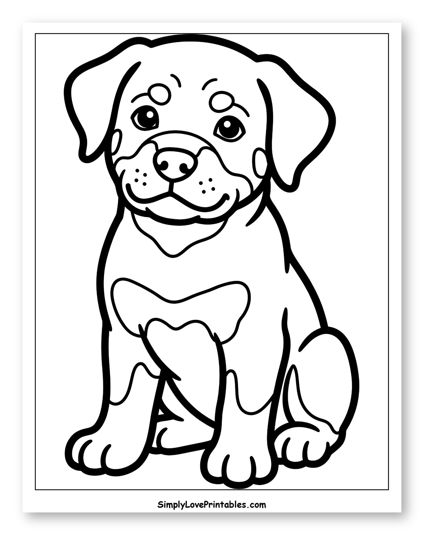 Cute Sitting Rottweiler Puppy