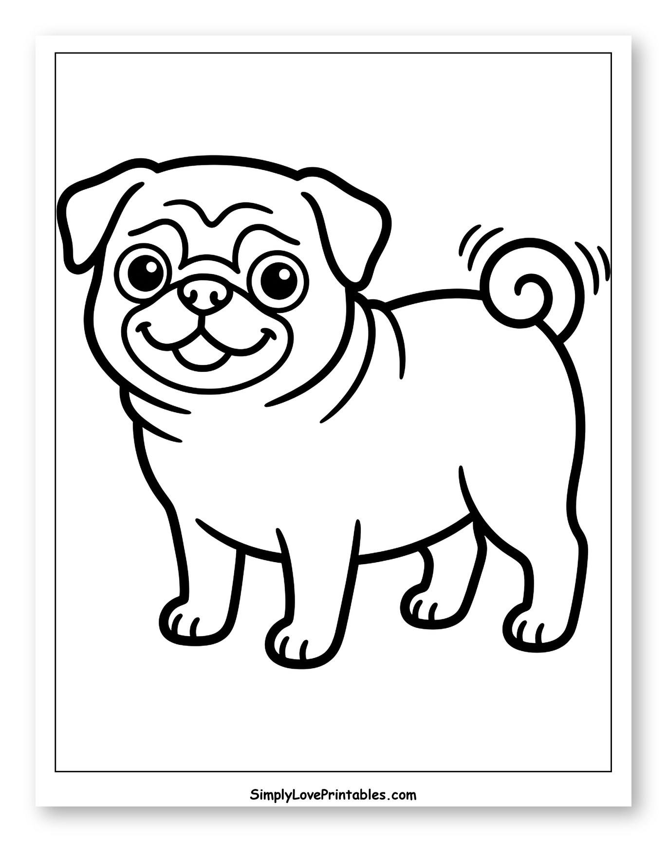 Cute Smiling Pug with Curly Tail