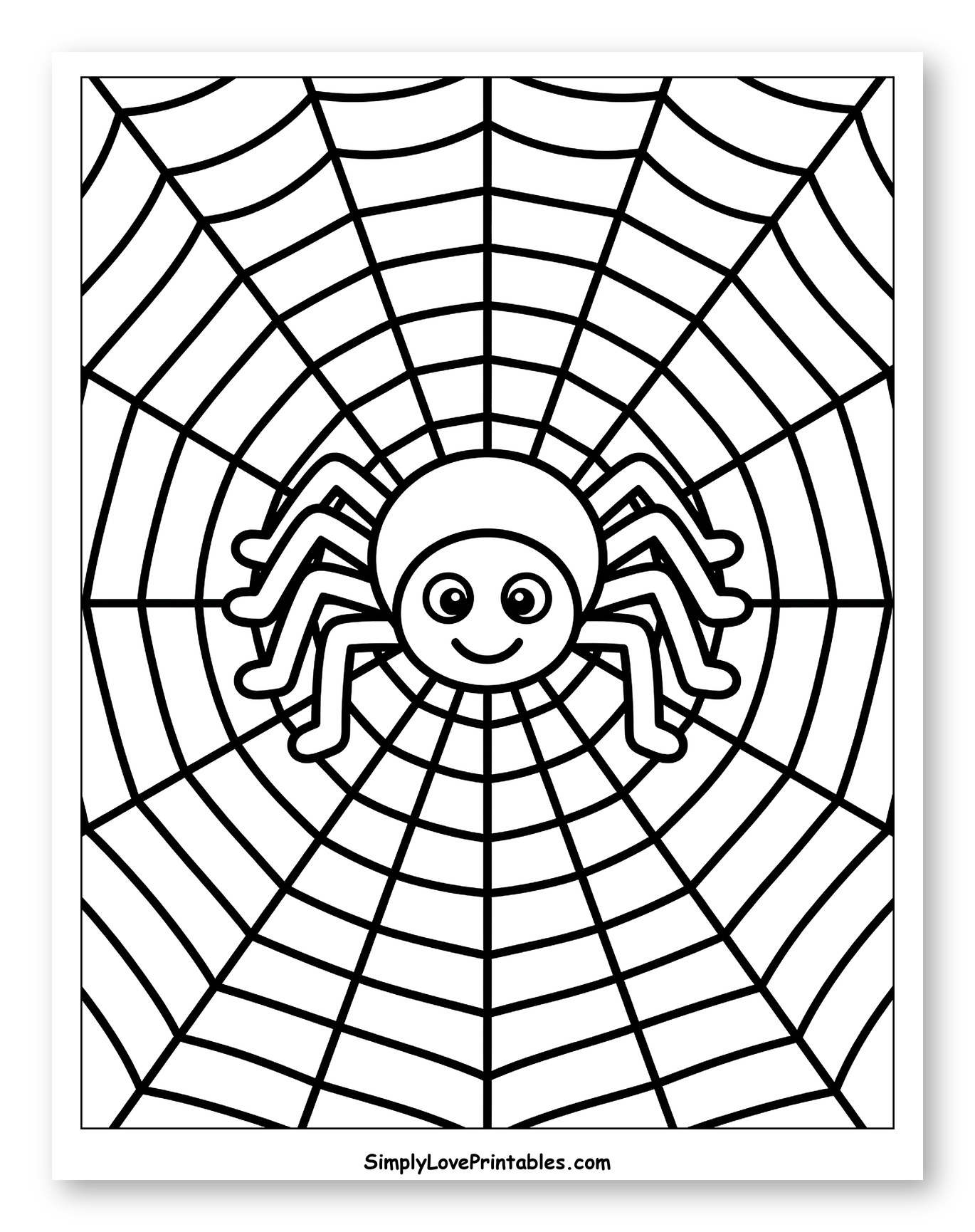 Cute Spider on a Simple Web