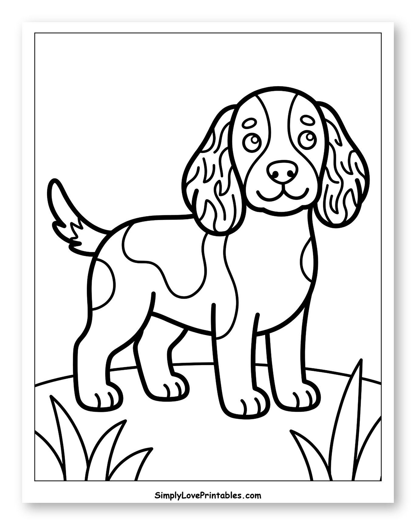 Cute Springer Spaniel Puppy Standing in Grass to Color for Toddlers