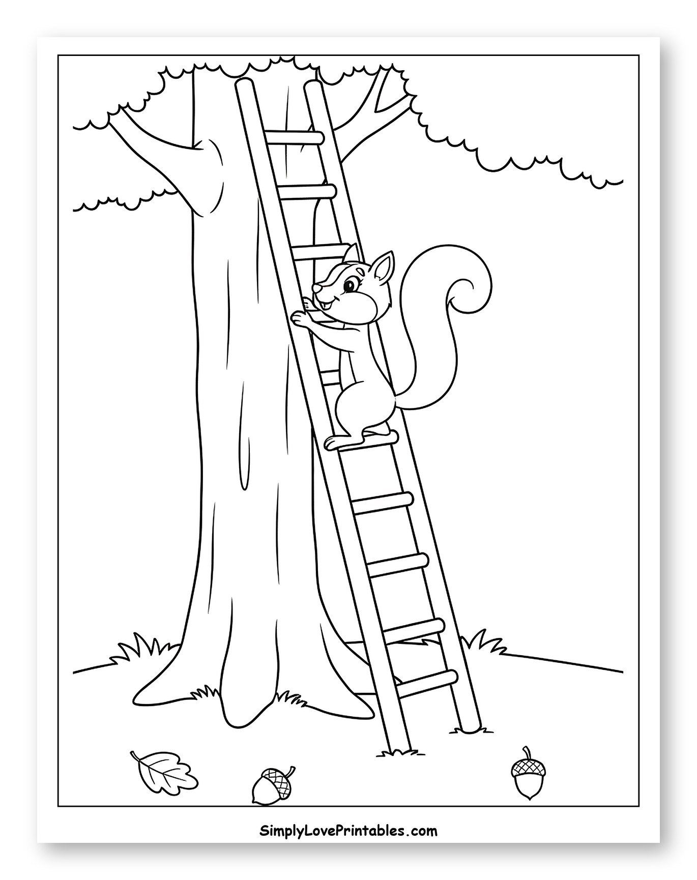 Cute Squirrel Climbing a Ladder Up a Tree
