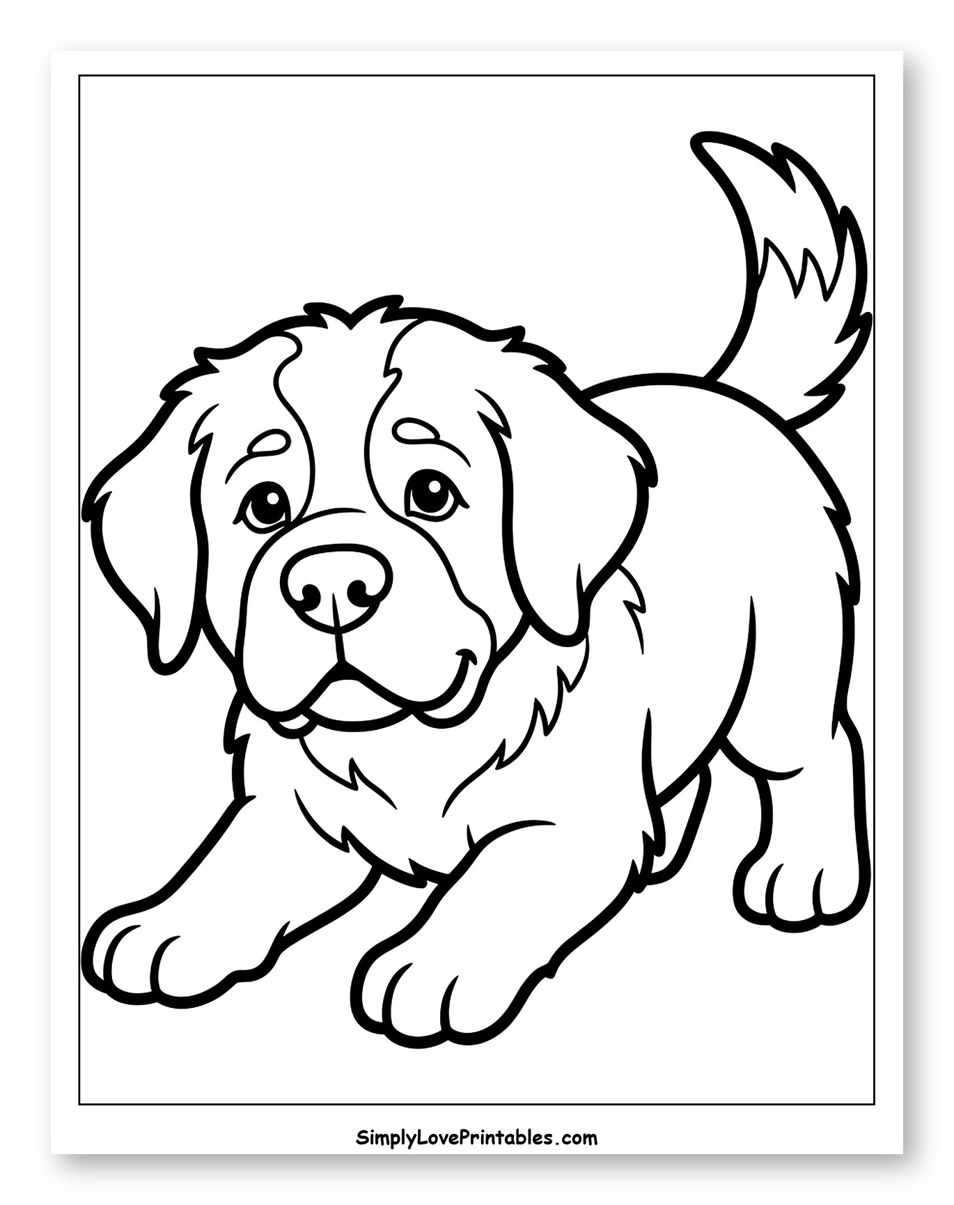 Cute St. Bernard Puppy Ready to Play