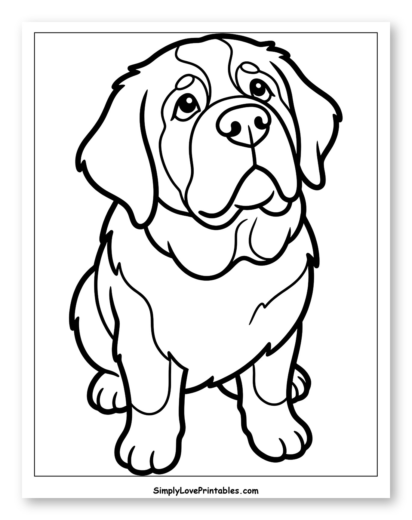 Cute St. Bernard Puppy Sitting