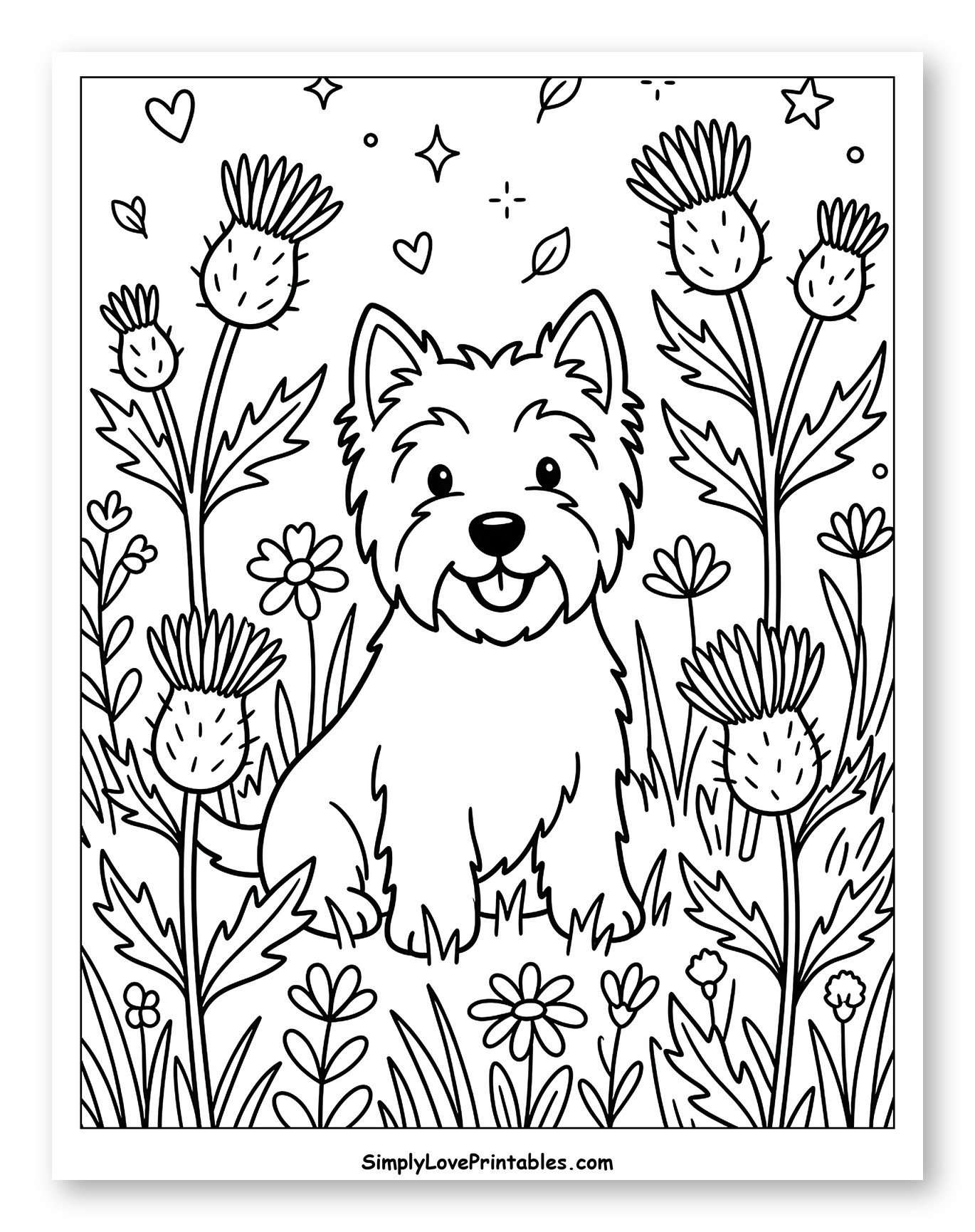 Cute Terrier Dog in a Thistle Field