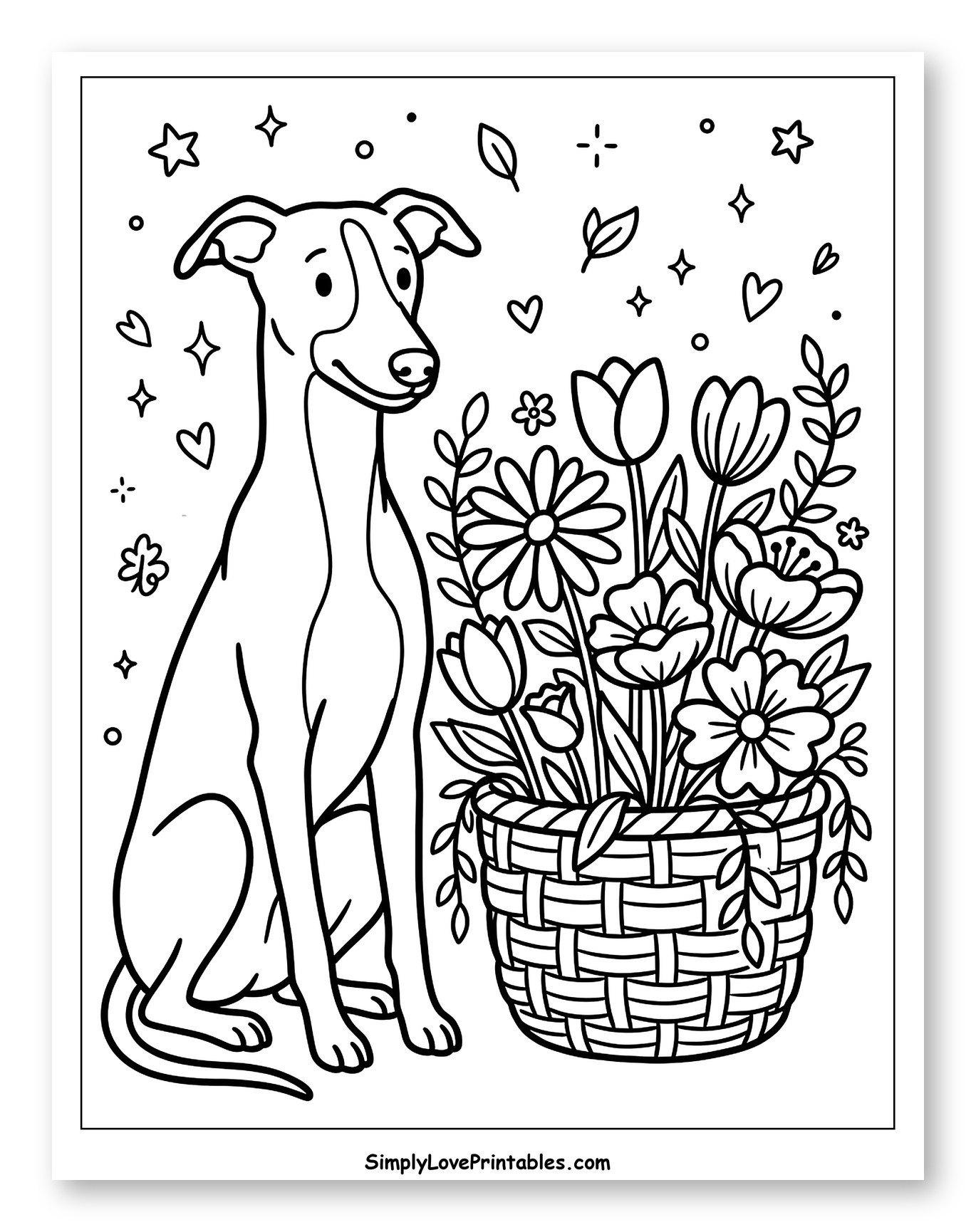 Cute Whippet Dog with a Basket of Flowers to Color for Adults
