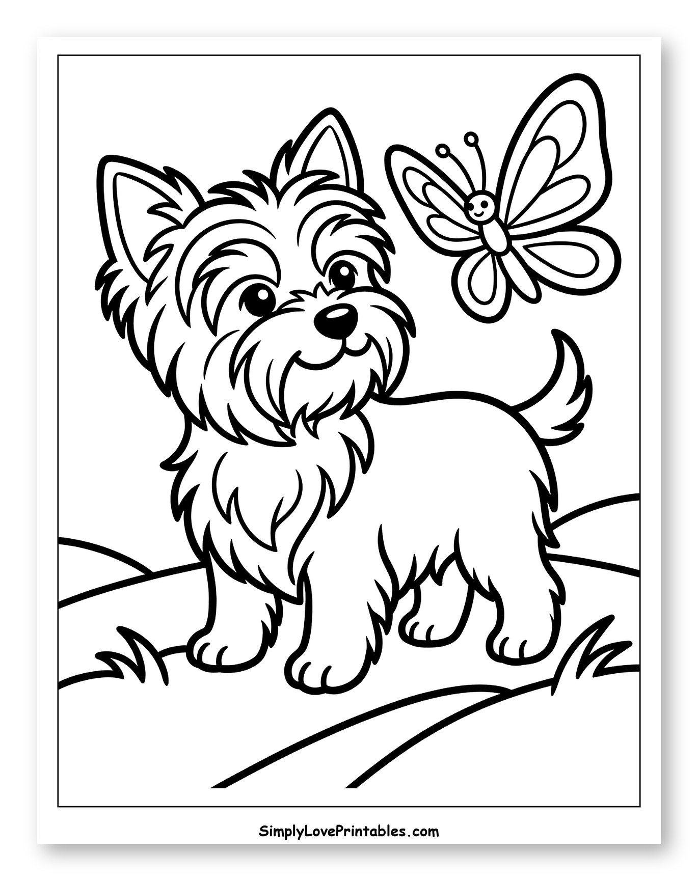 Cute Yorkshire Terrier and Butterfly
