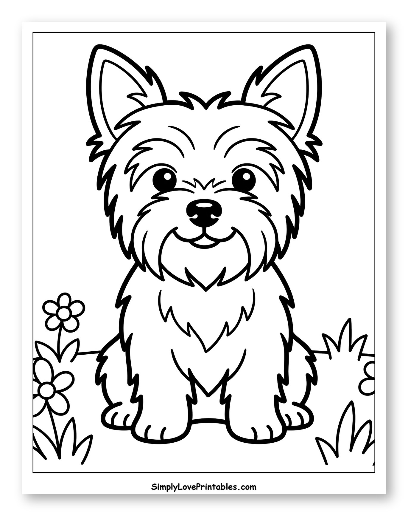 Cute Yorkshire Terrier Sitting in Grass