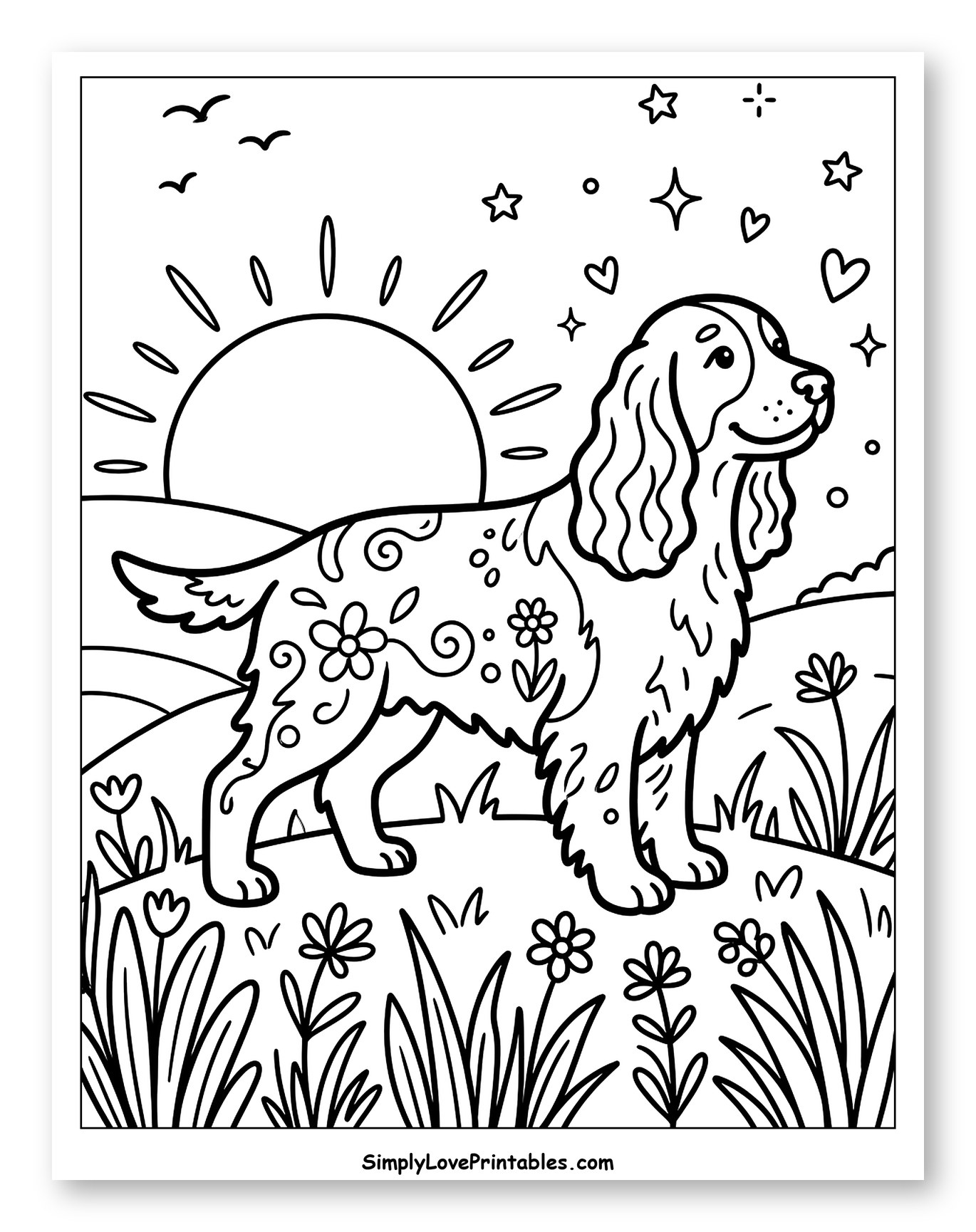 Decorative Springer Spaniel in a Sunny Field to Color for Adults