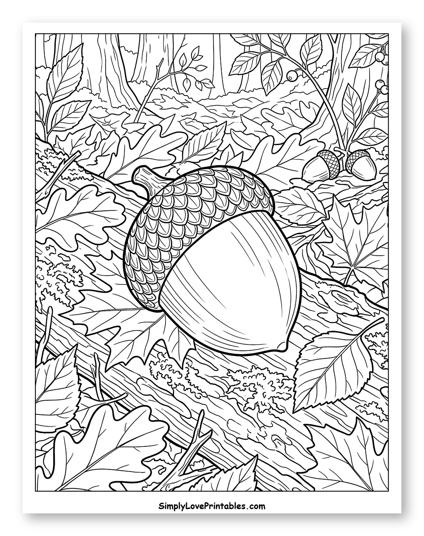 Detailed Acorn on a Fallen Forest Log