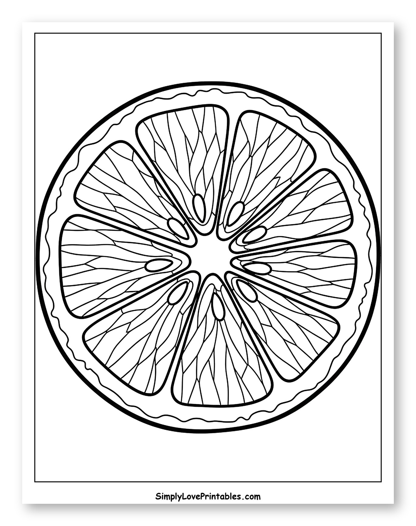 Detailed Citrus Fruit Slice