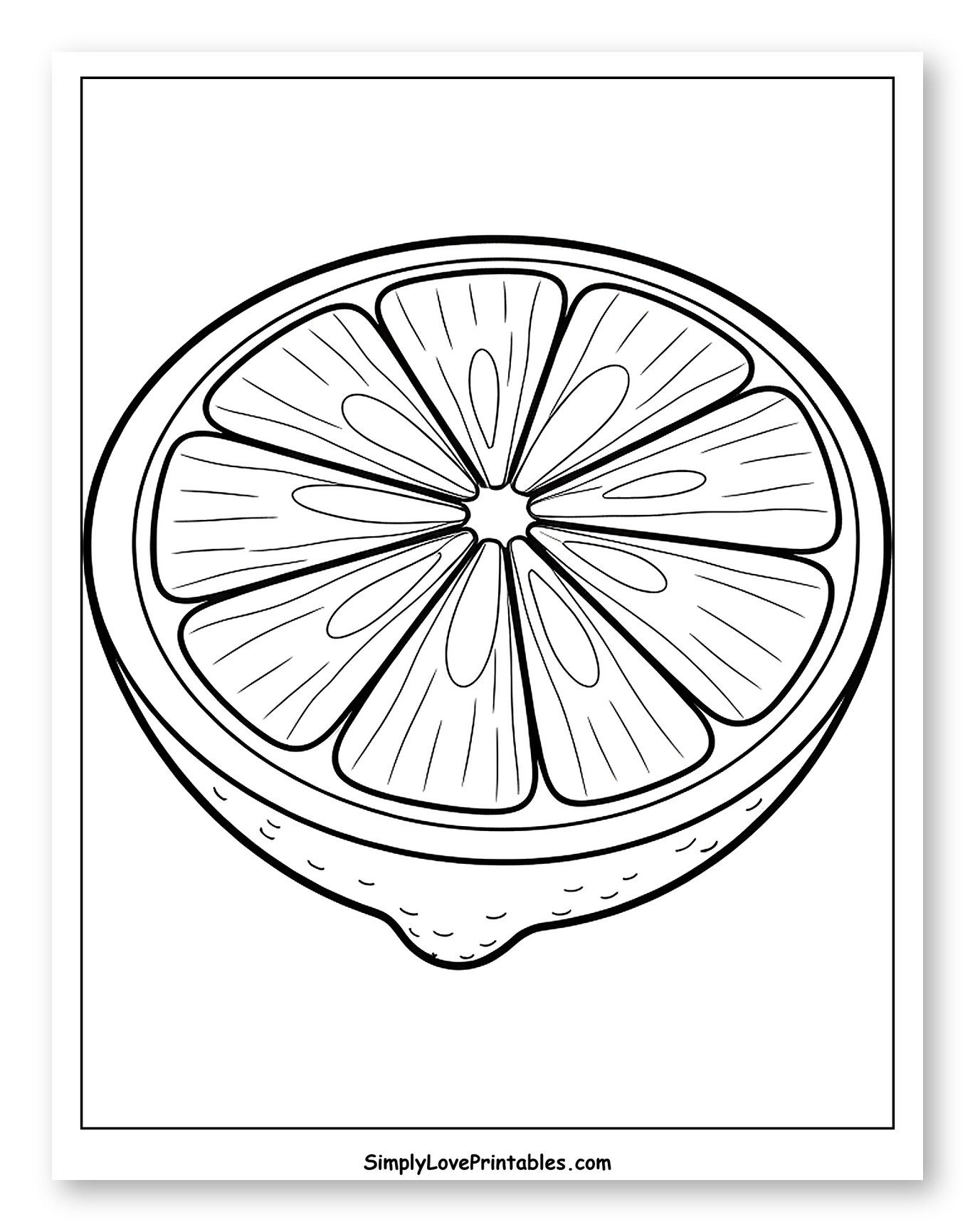 Detailed Cross-Section of a Lemon