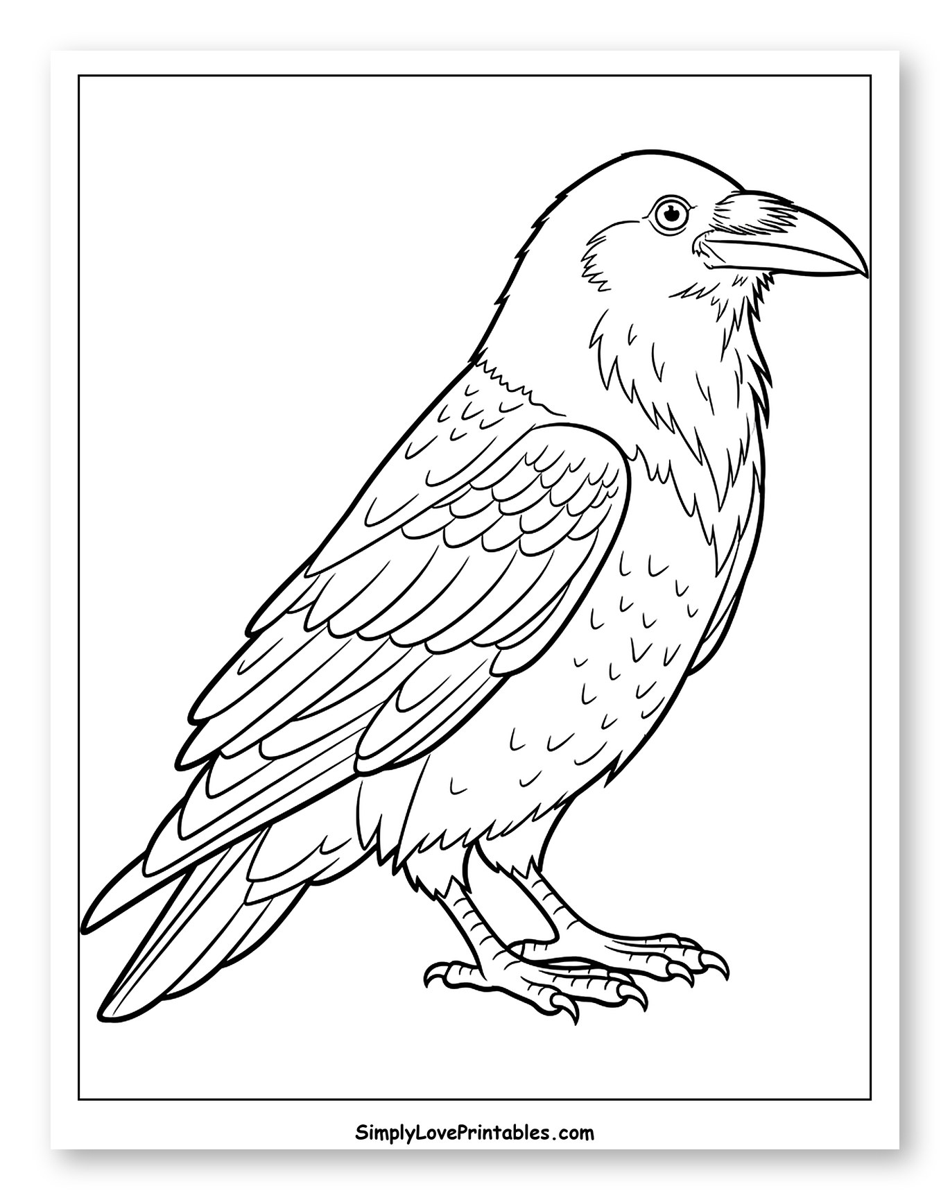 Detailed Line Art of a Raven to Color for Toddlers