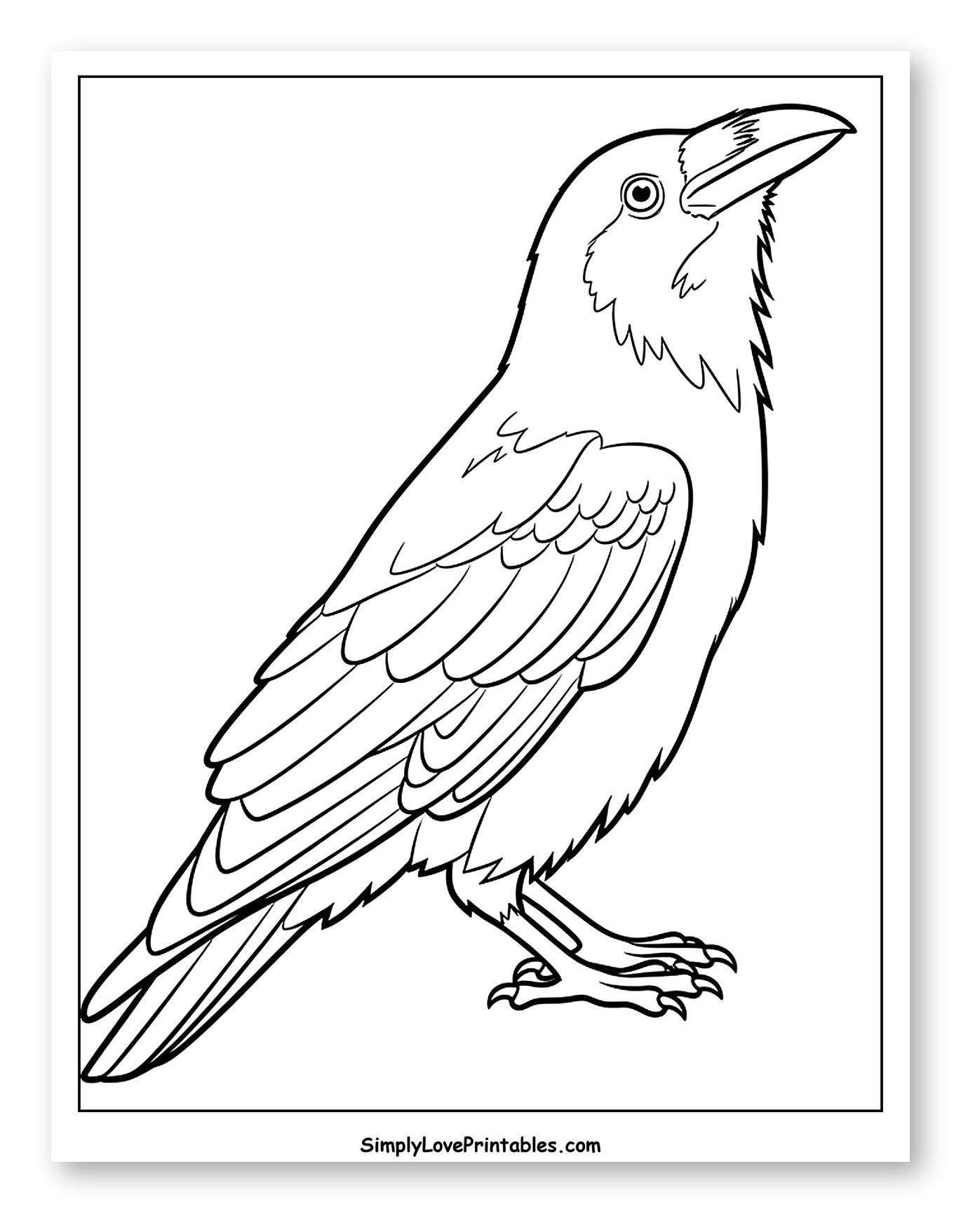 Detailed Outline of a Perched Raven
